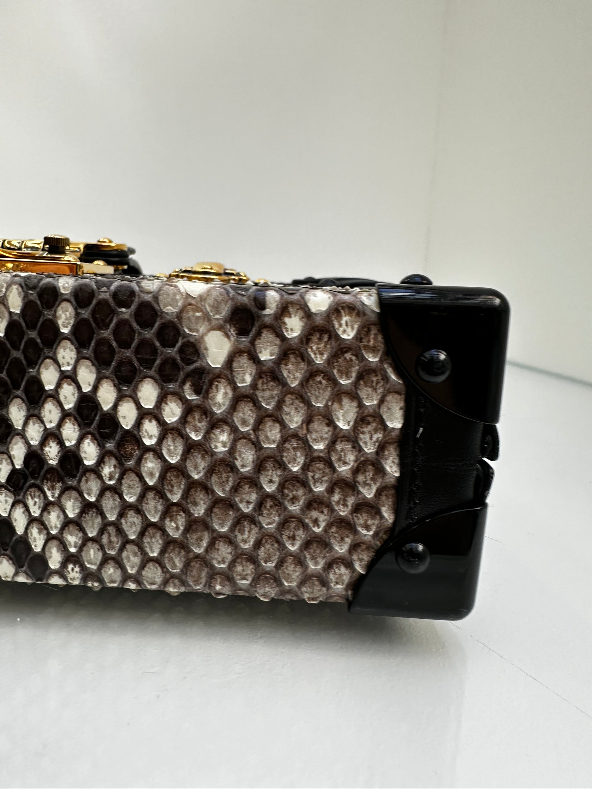 Louis Vuitton Petite Malle Python Bag – Edwards Worm Farm