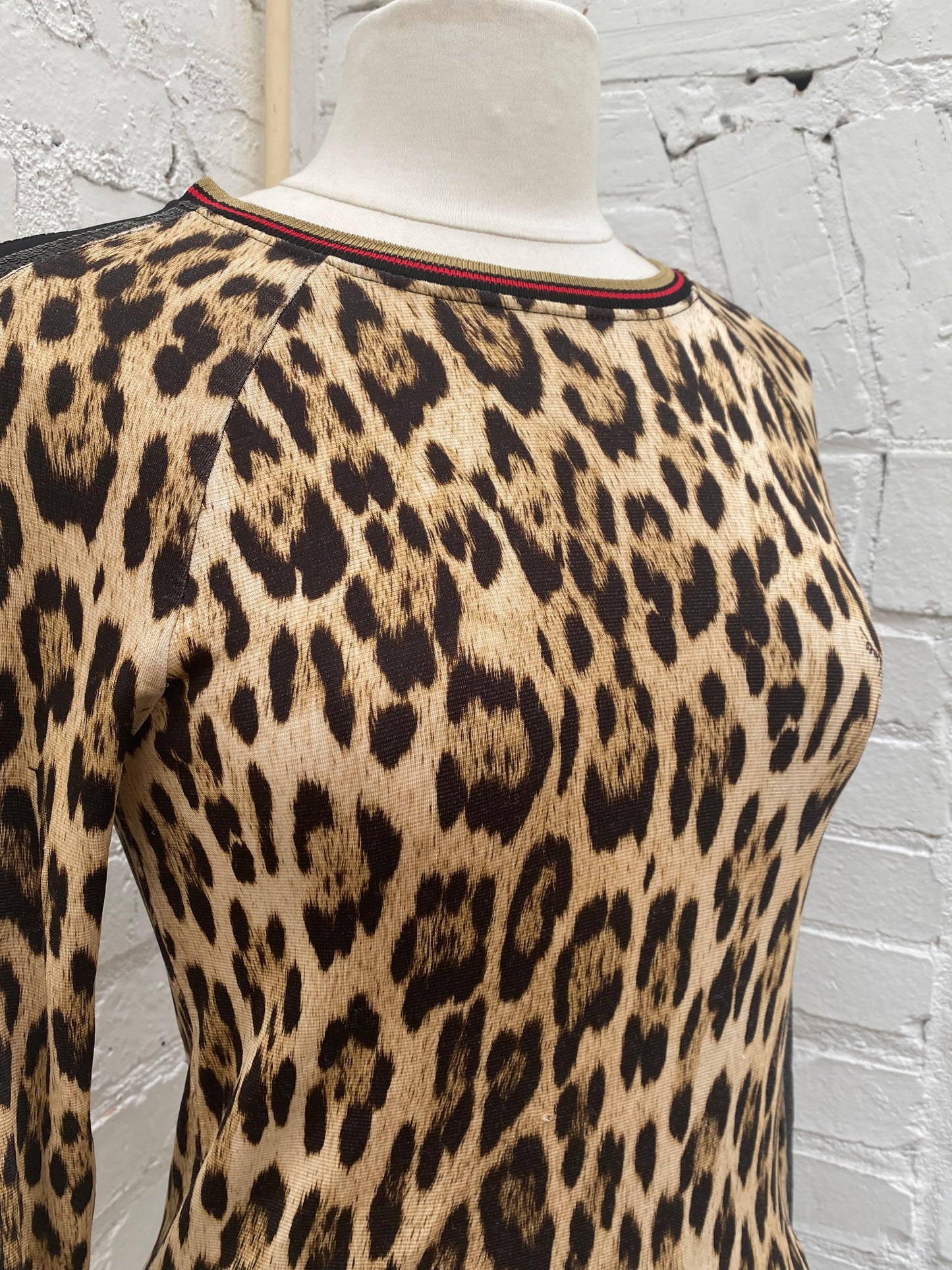 Roberto Cavalli Gym Cheetah Sequin Long Sleeve Top, 38