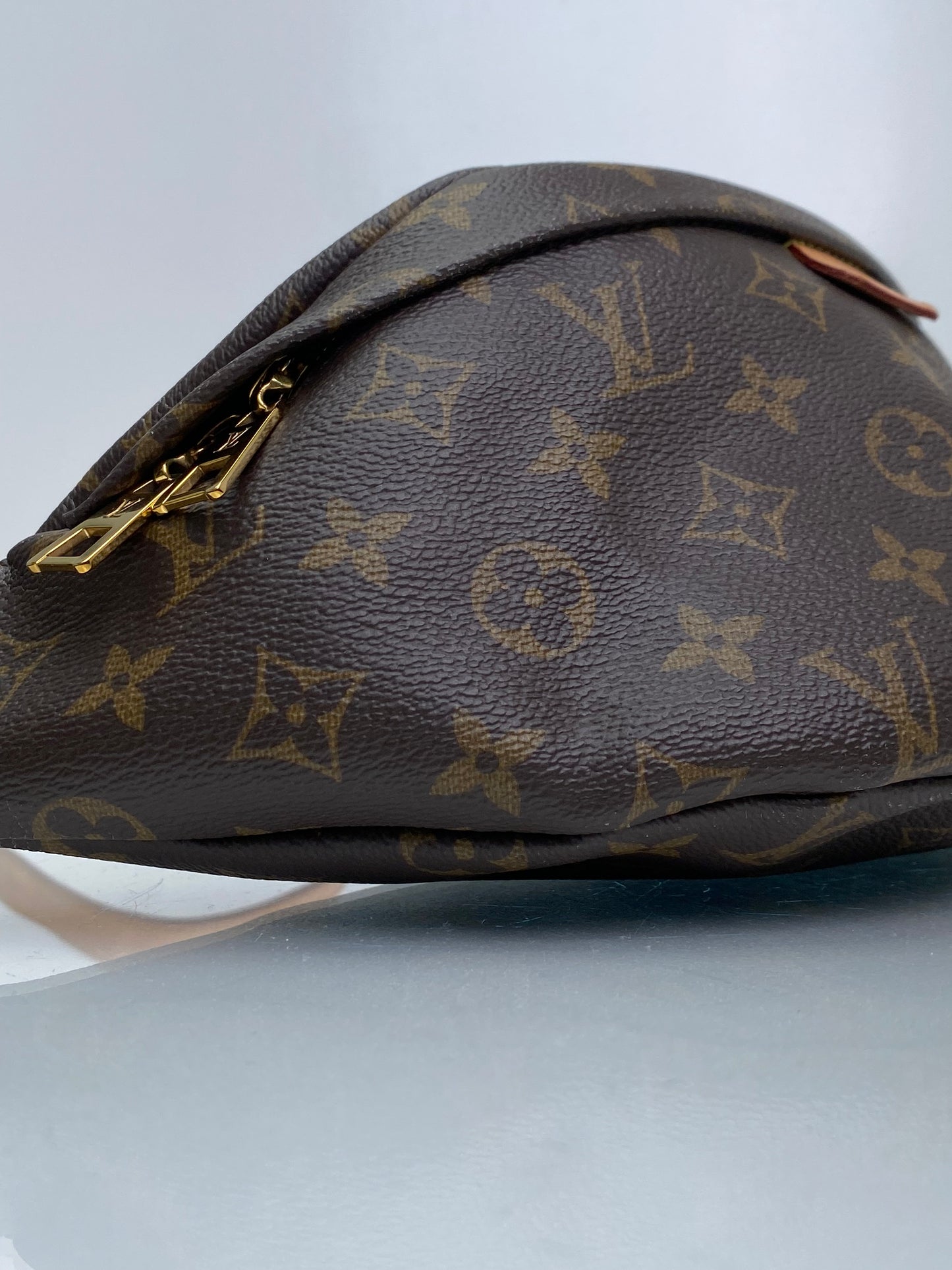Louis Vuitton Monogram Bum Bag GHW