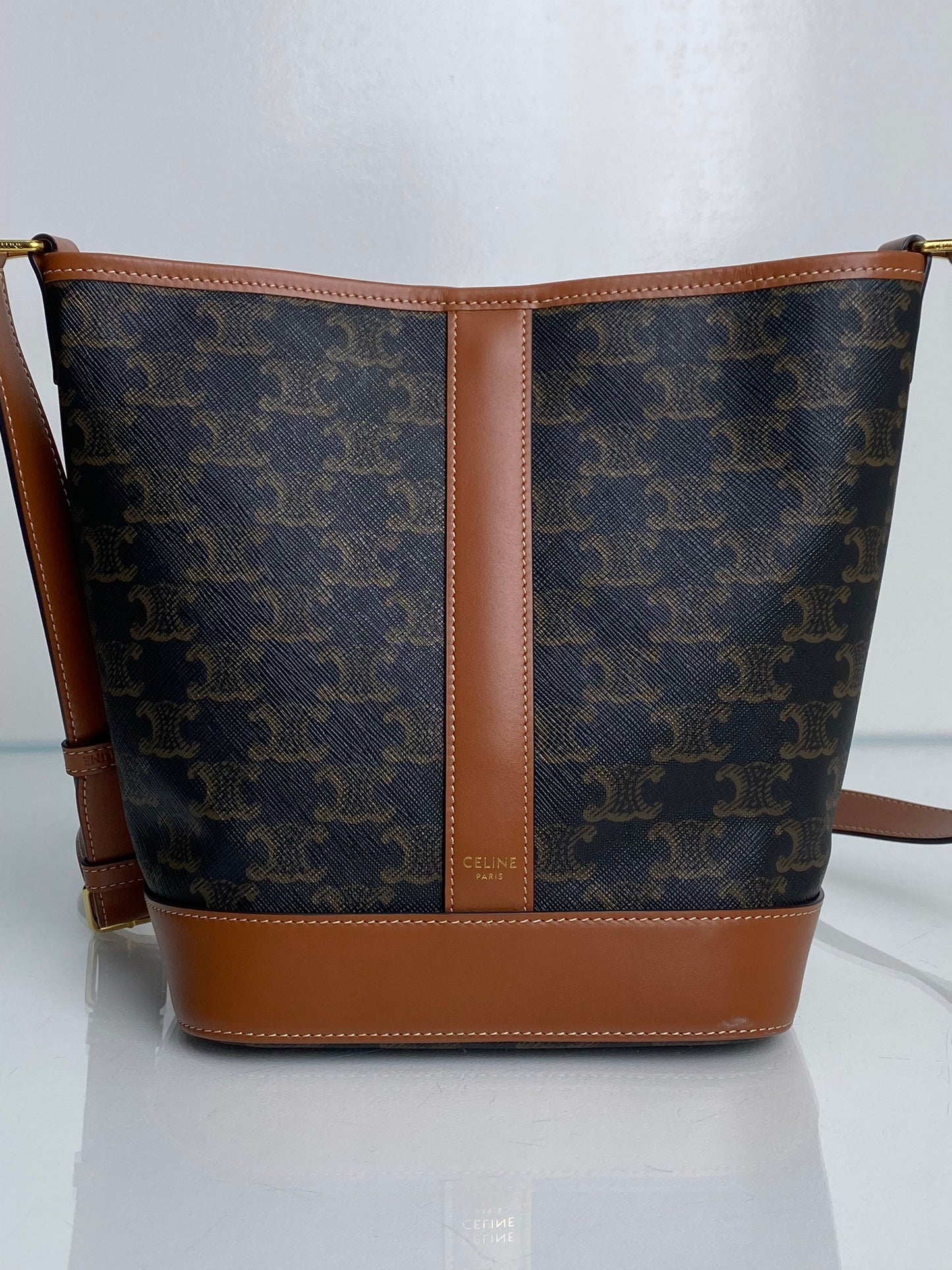 Celine Triomphe Crossbody Bucket Bag GHW