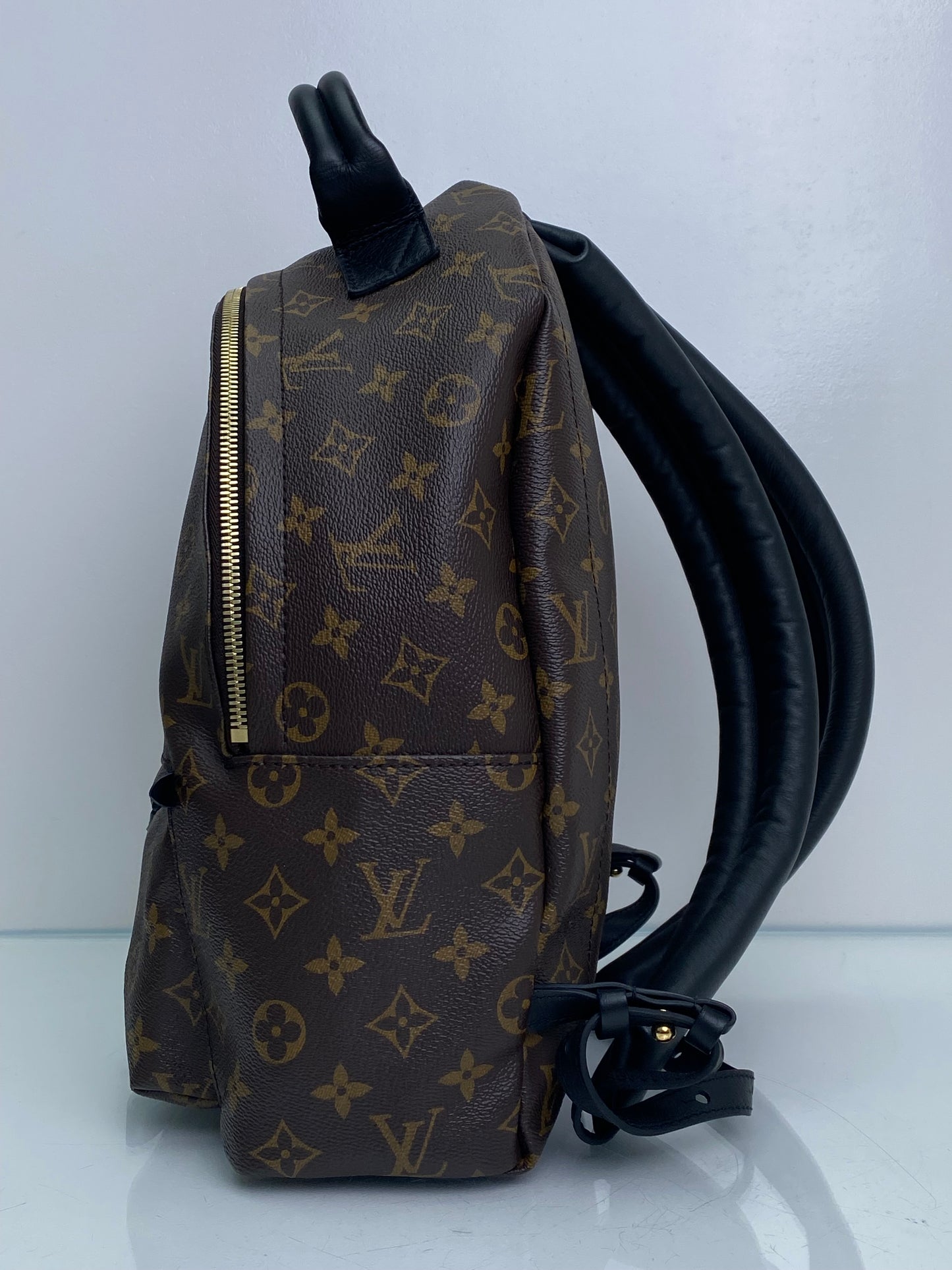 Louis Vuitton Palm Springs Canvas Monogram Backpack PM GHW