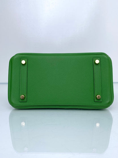 Hermes Birkin 25 Vert Yucca Togo GHW #B