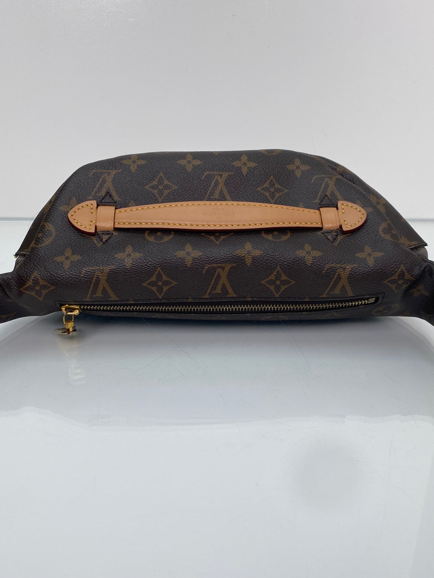 Louis Vuitton Monogram Bum Bag