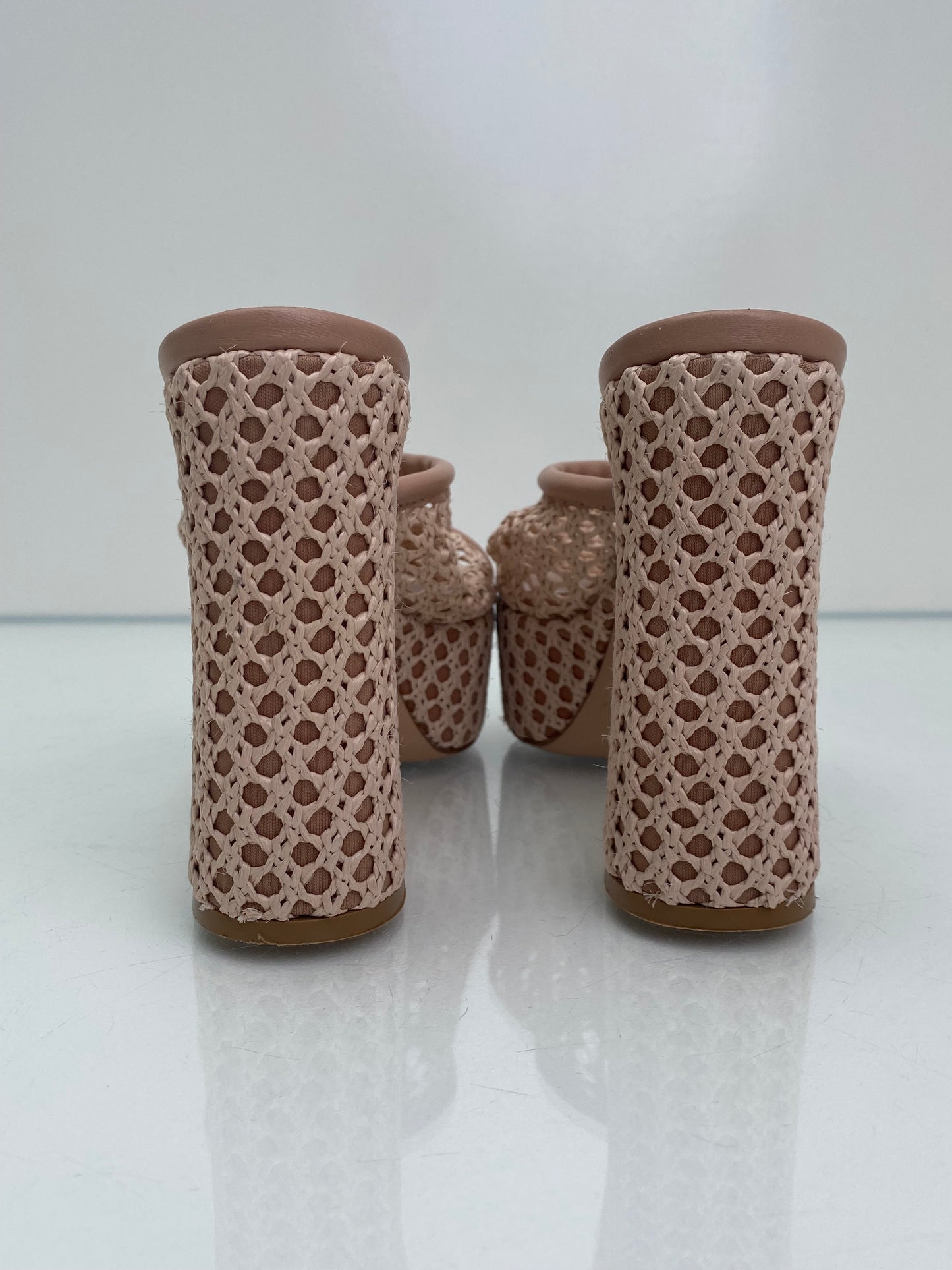 Gianvitto Rossi Mesh/Leather Nude Heels, 37.5