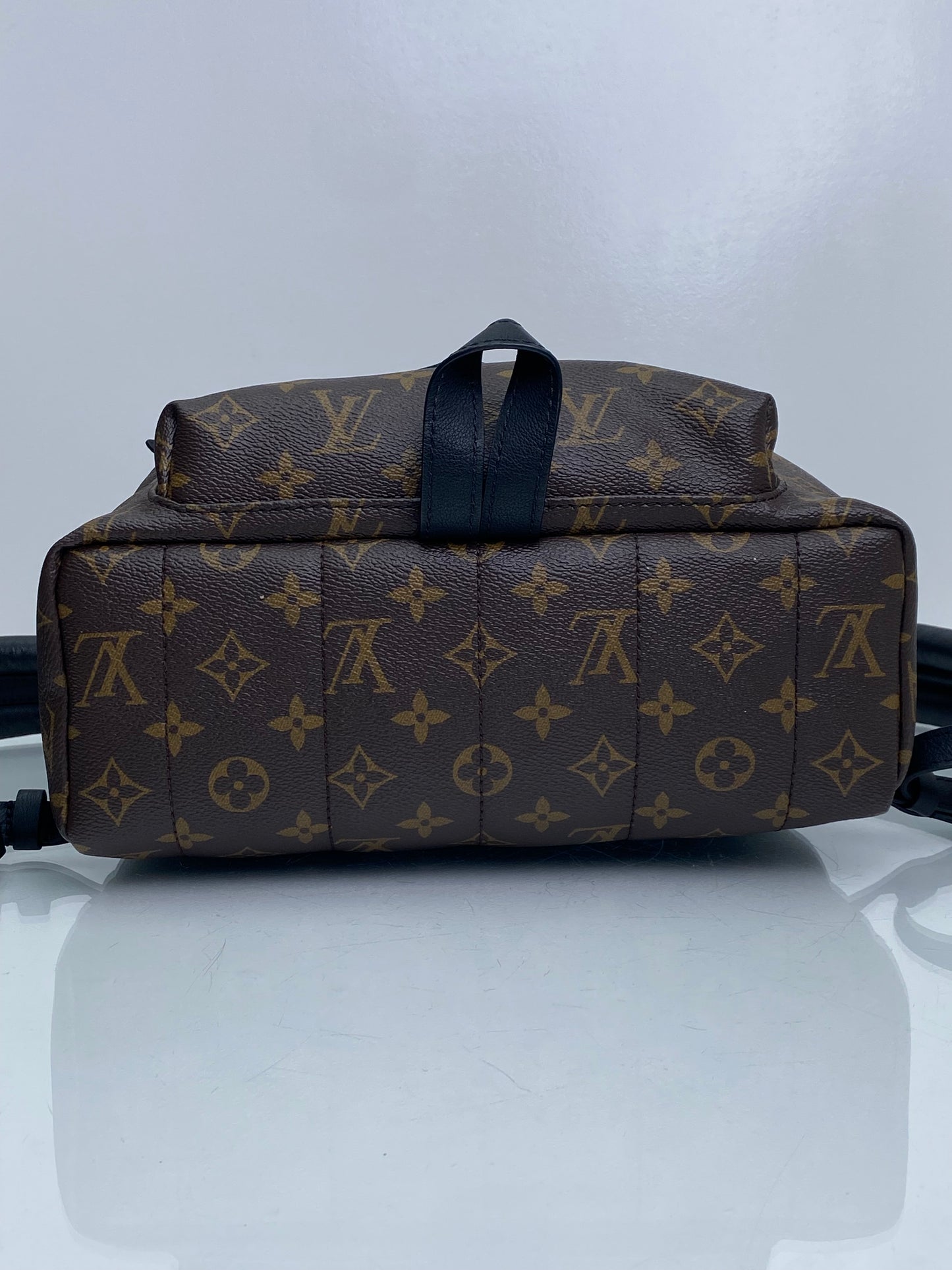 Louis Vuitton Palm Springs Canvas Monogram Backpack PM GHW