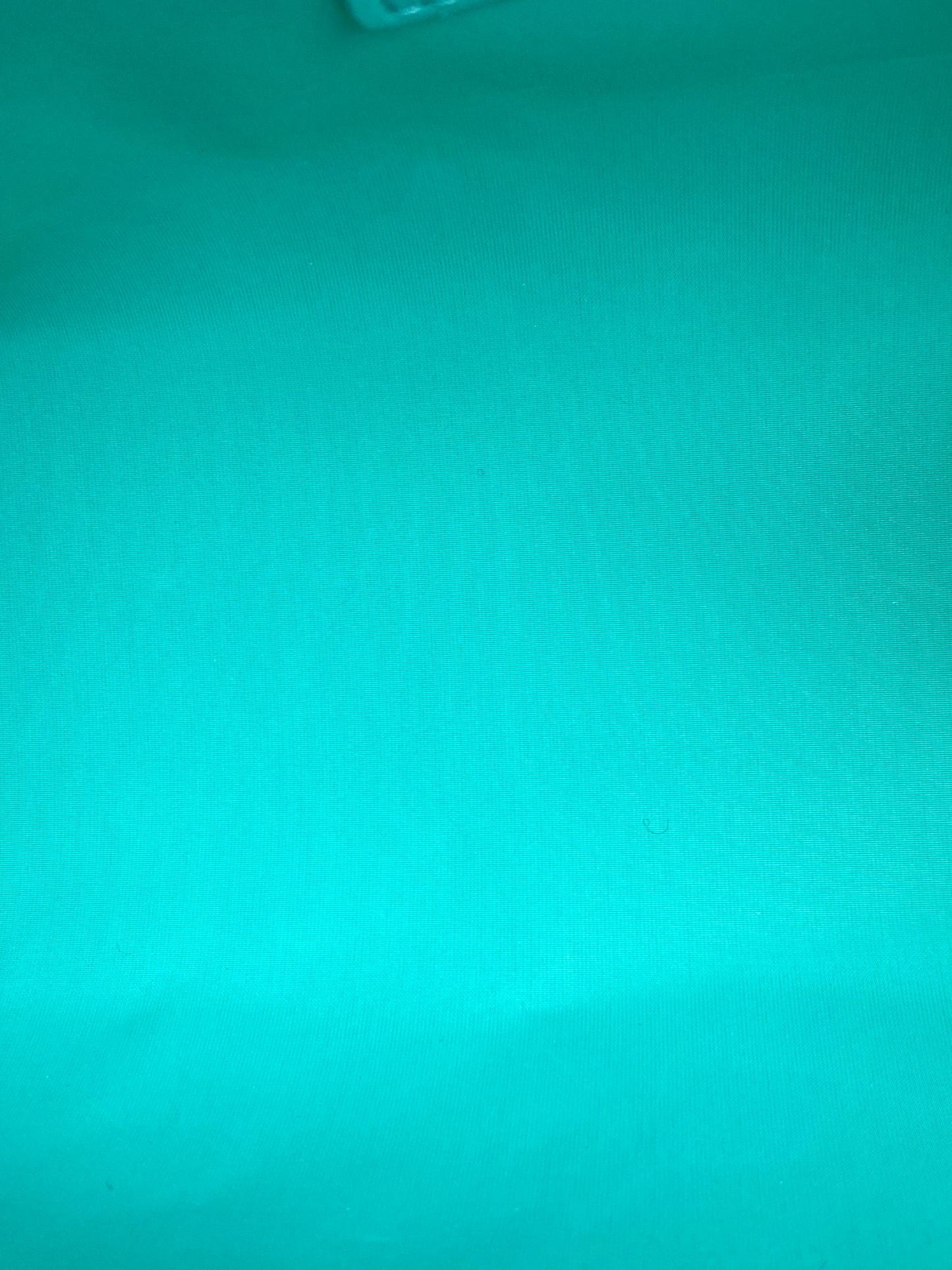 Christian Dior Teal & White Toile De Jouy Nomad Pouch GHW