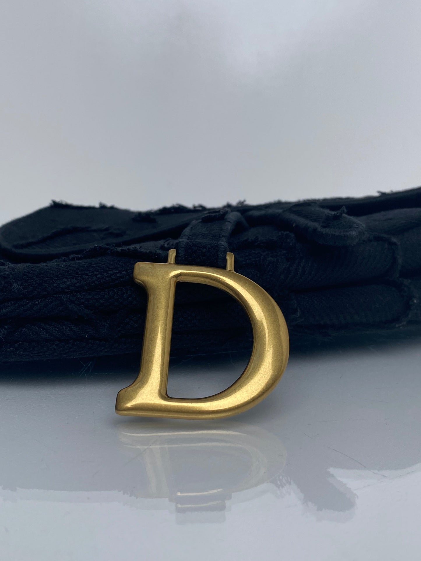 Dior Black Canvas Embroidered Saddle Bag GHW