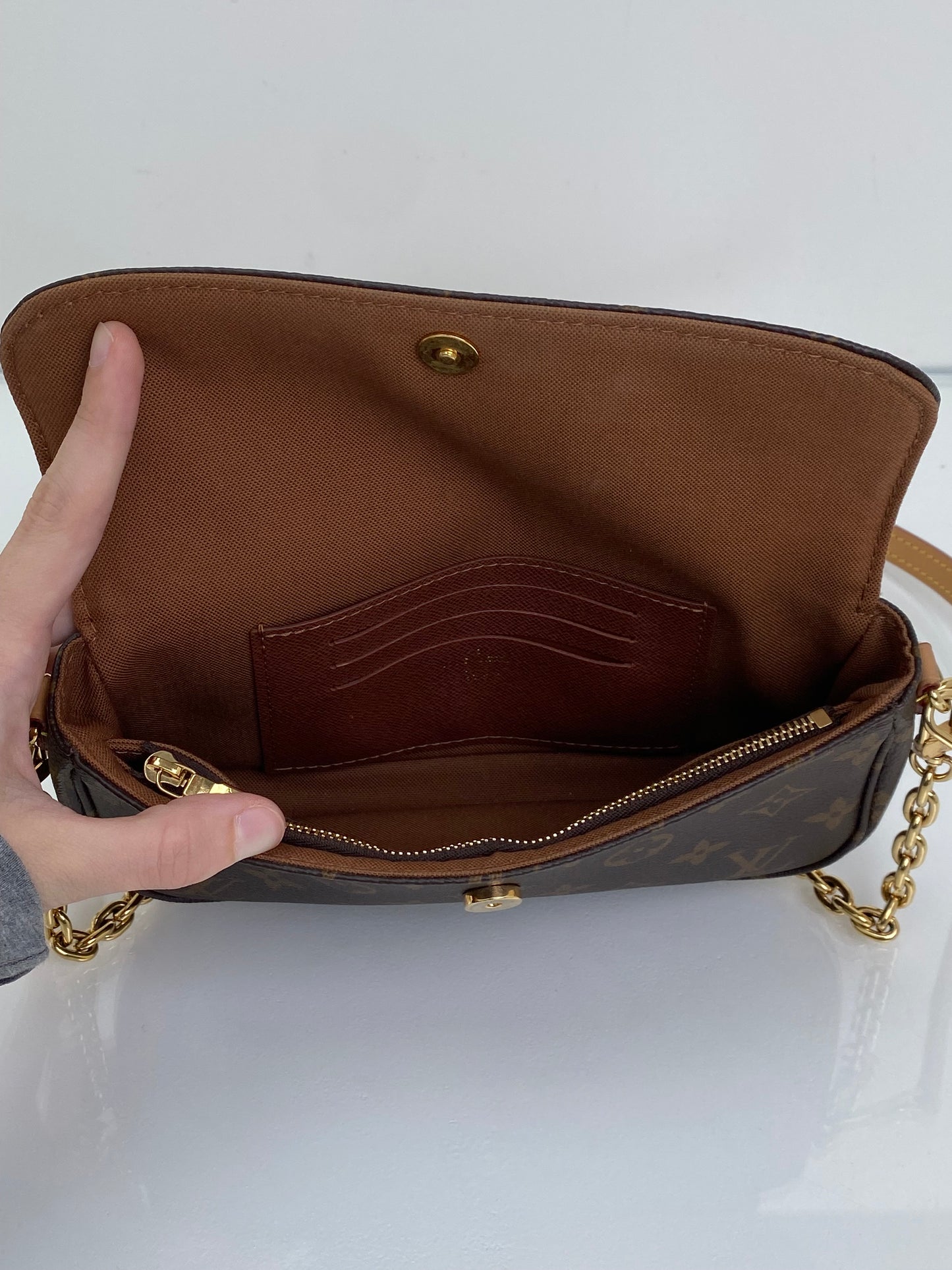 Louis Vuitton Monogram Wallet On Chain Ivy Bag GHW