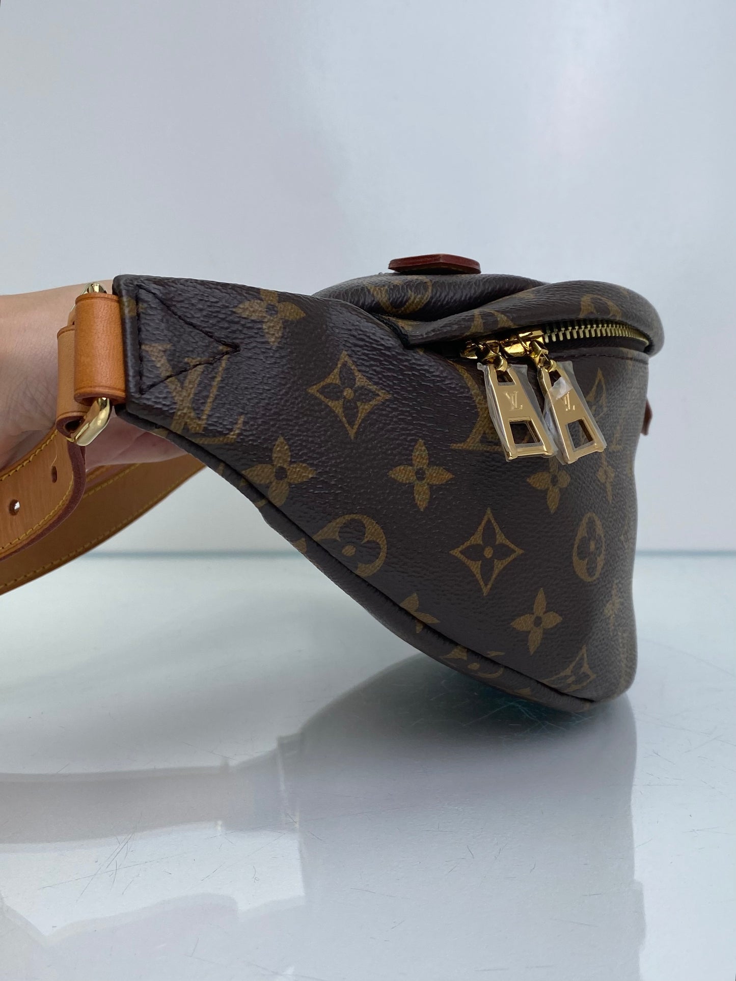 Louis Vuitton Monogram Bum Bag GHW