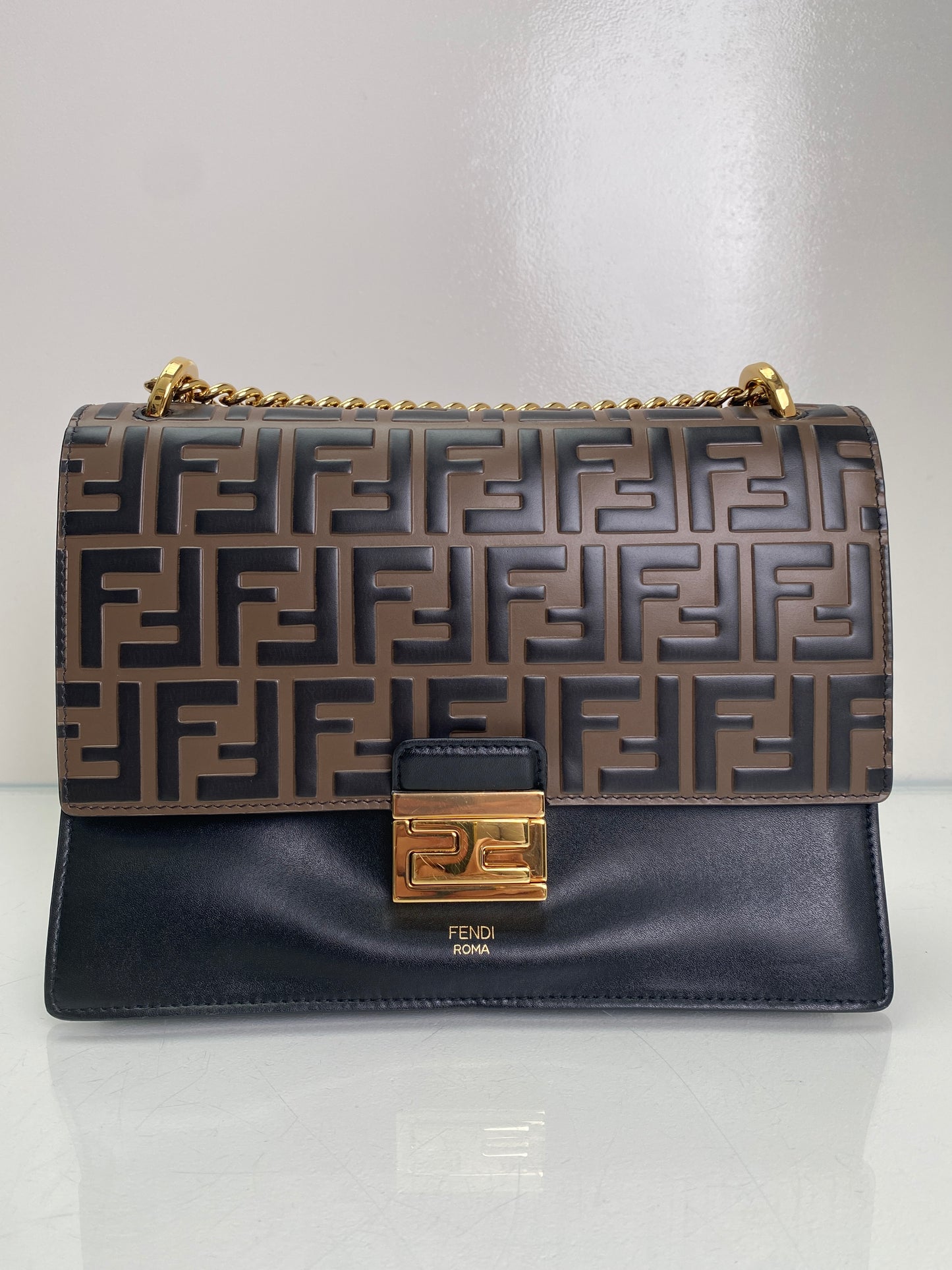 Fendi Brown & Black FF Kan U Bag GHW