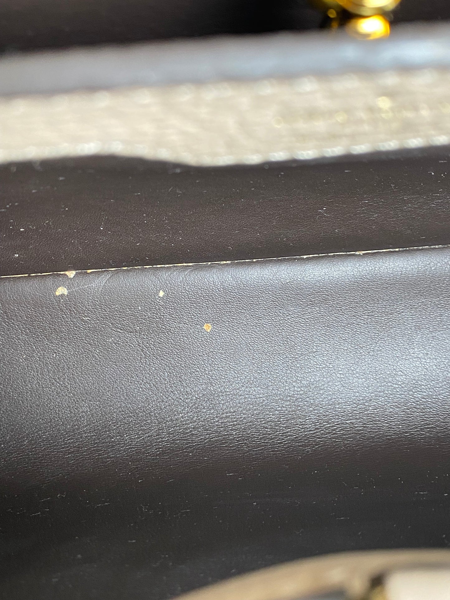 Louis Vuitton Galet Capucines Bag MM w/ Strap GHW