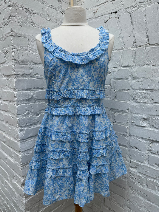 LoveShackFancy Blue & White Floral Pippy Dress, 8