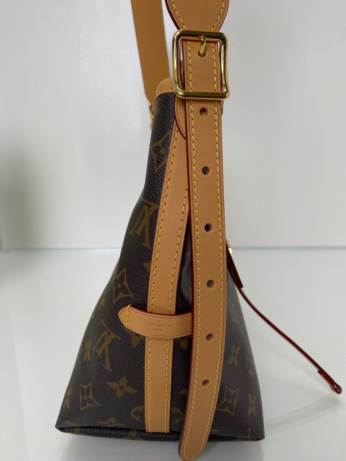 Louis Vuitton Monogram Carryall PM Bag GHW