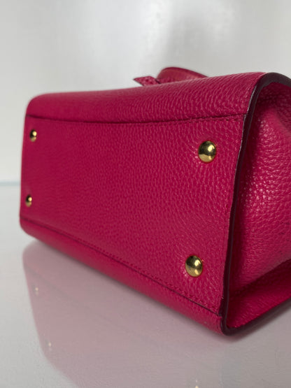 Salvatore Ferragamo Pink Small Crossbody Tote GHW
