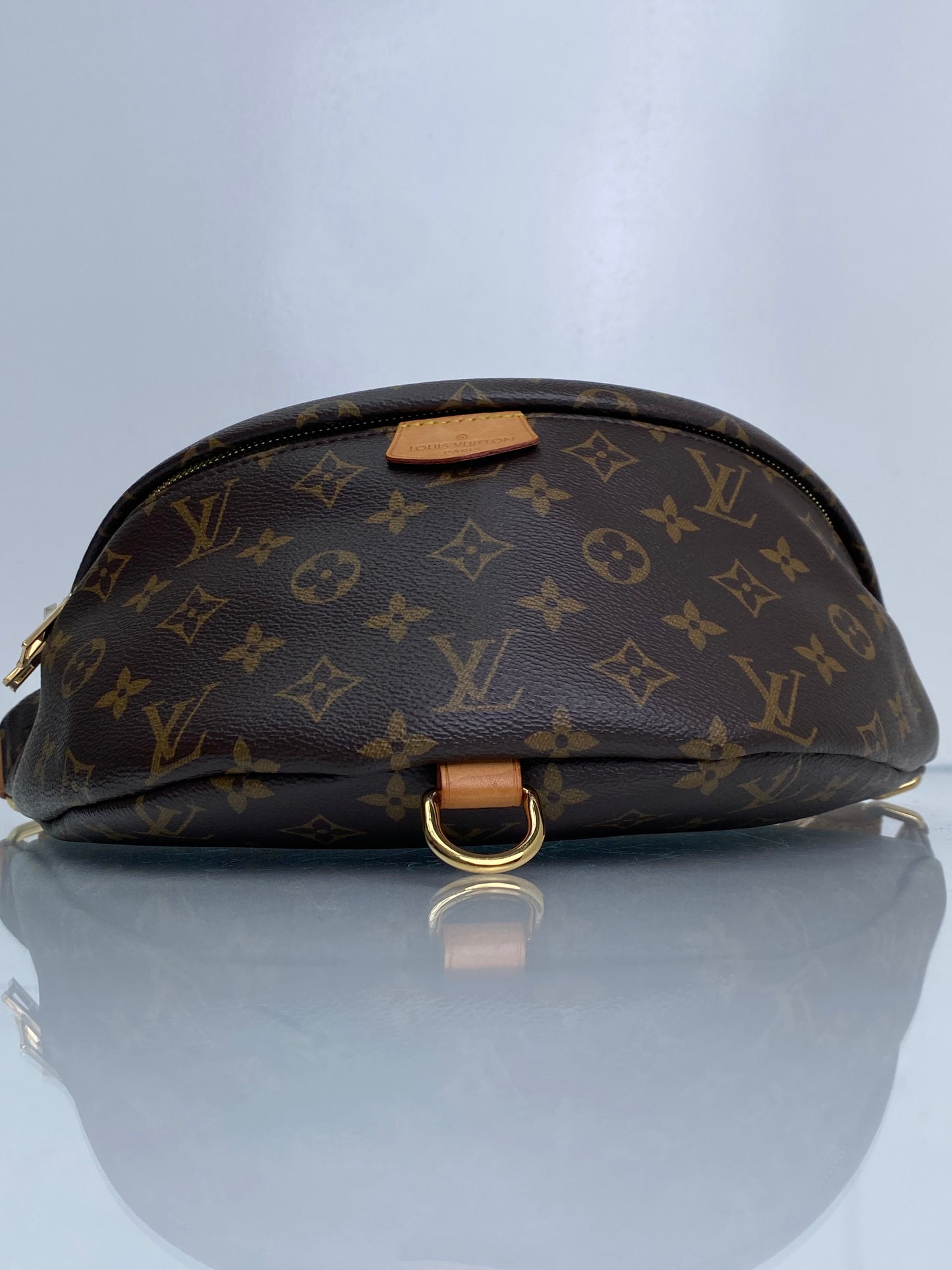 Louis Vuitton Monogram Bum Bag GHW