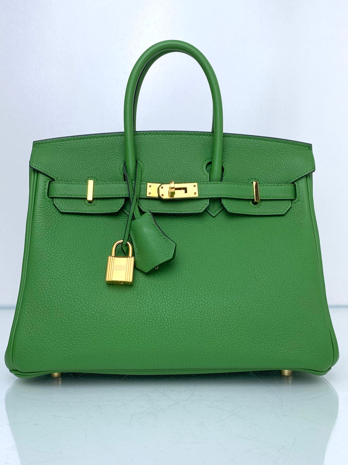 Hermes Birkin 25 Vert Yucca Togo GHW #B
