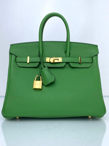 Hermes Birkin 25 Vert Yucca Togo GHW #B