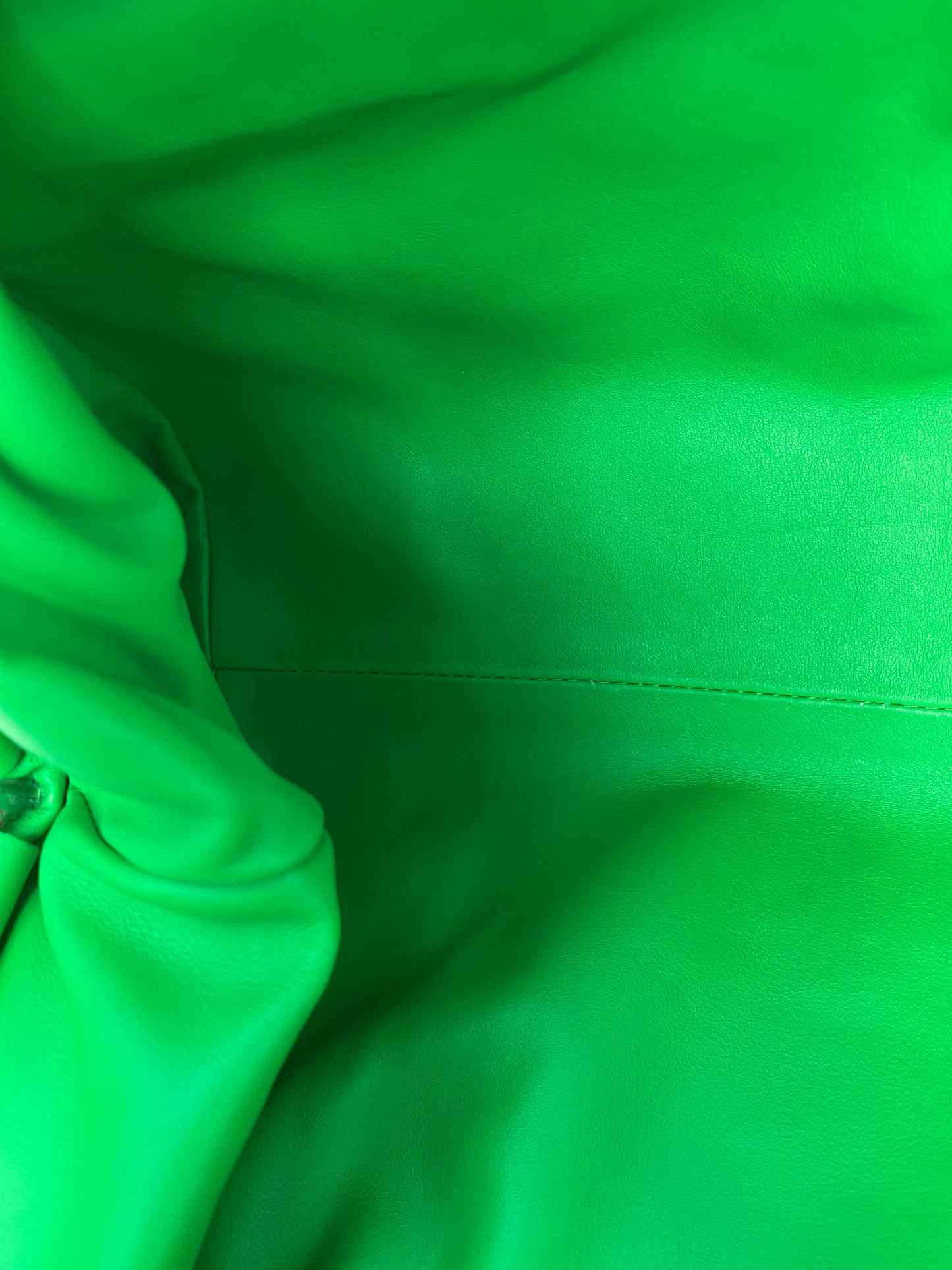 Bottega The Pouch Parakeet Green