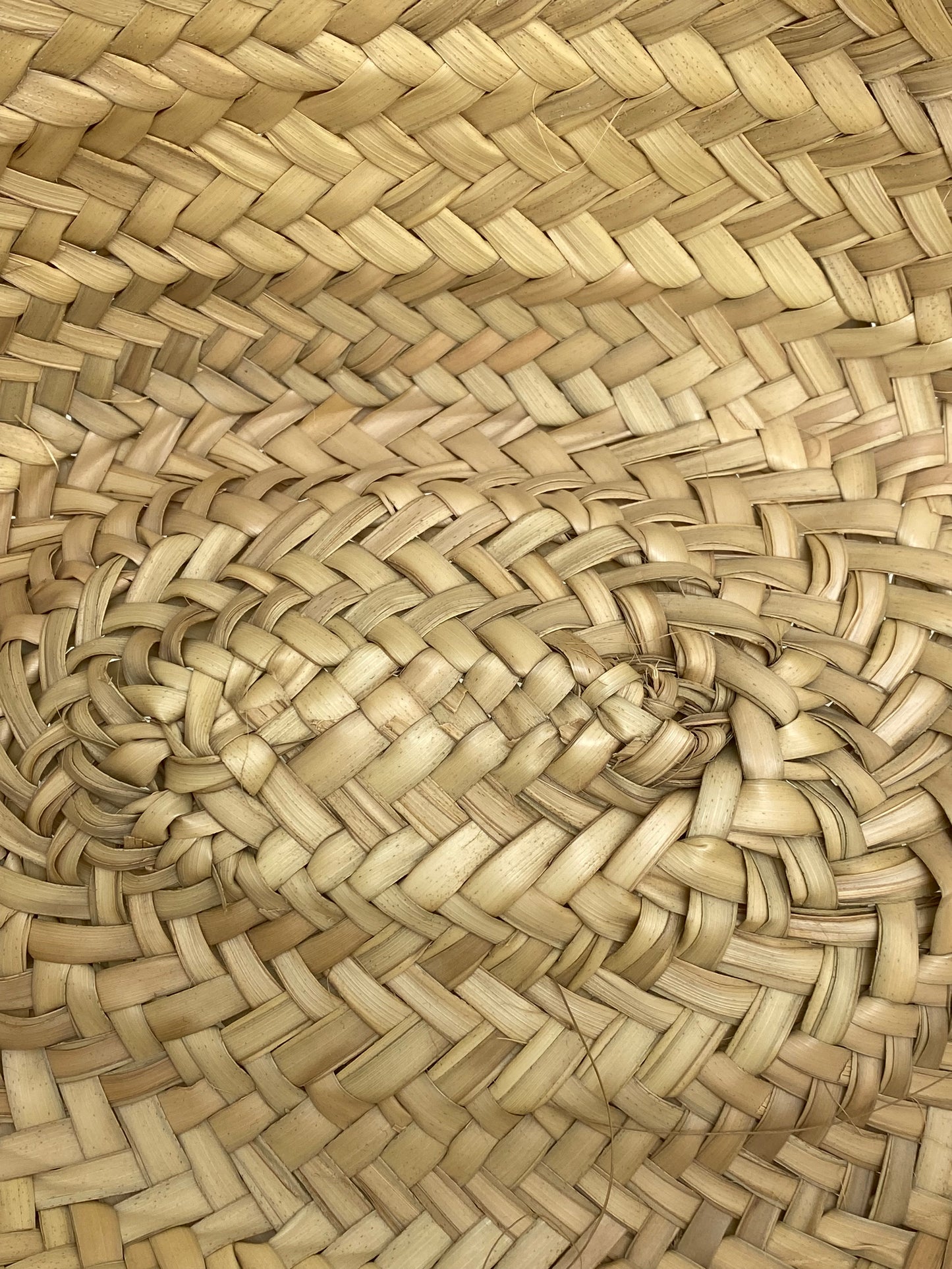 Celine Green Triomphe Straw Bag