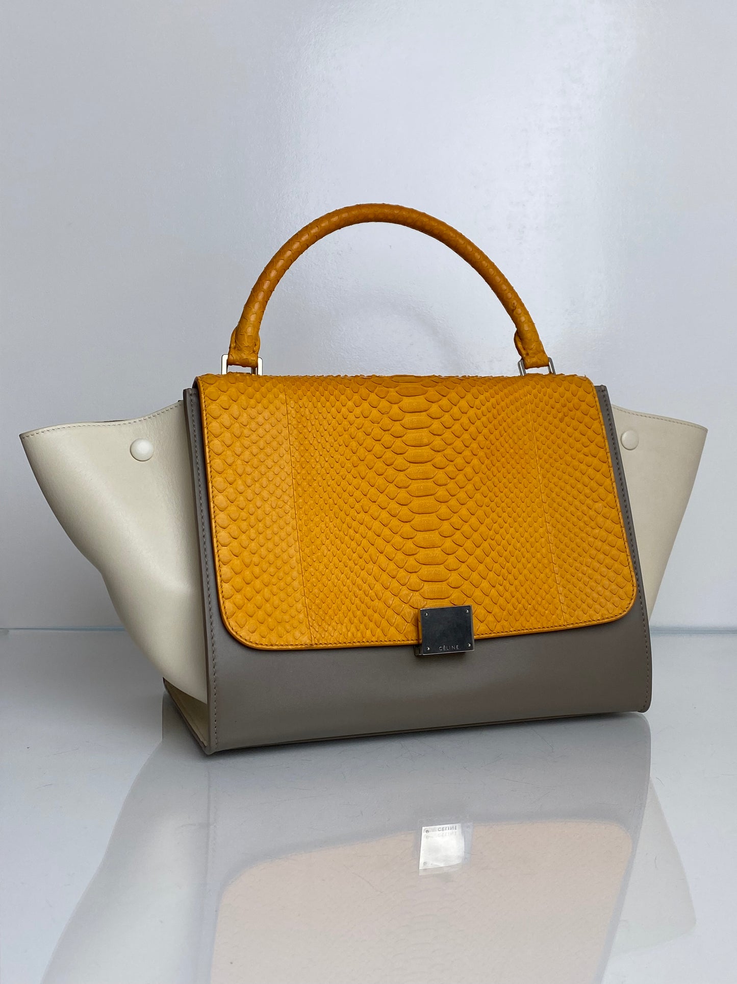 Celine Tricolor Leather & Python Trapeze Top Handle Bag