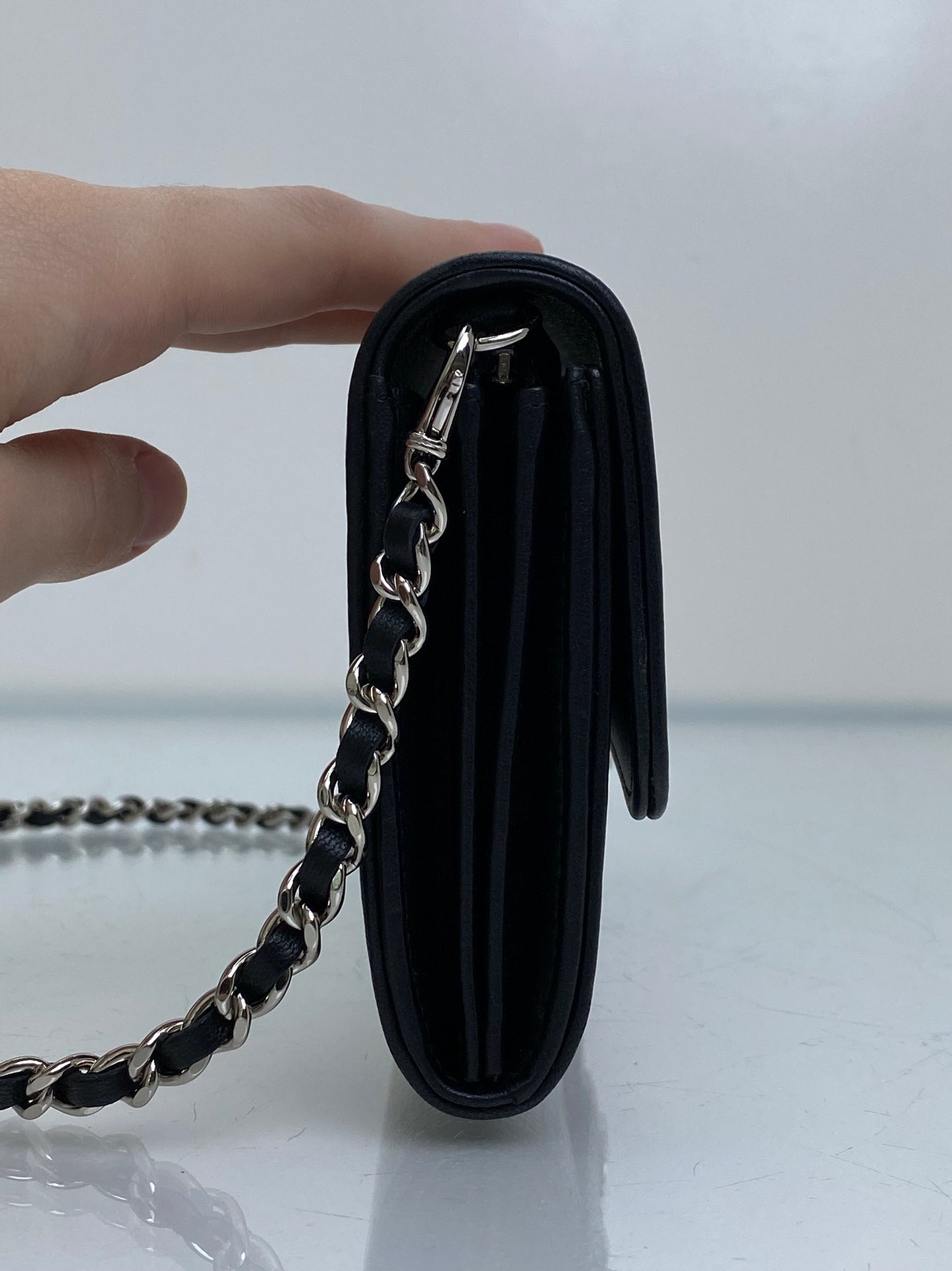 Chanel Iridescent Ombre Lizard Wallet On Chain SHW #22