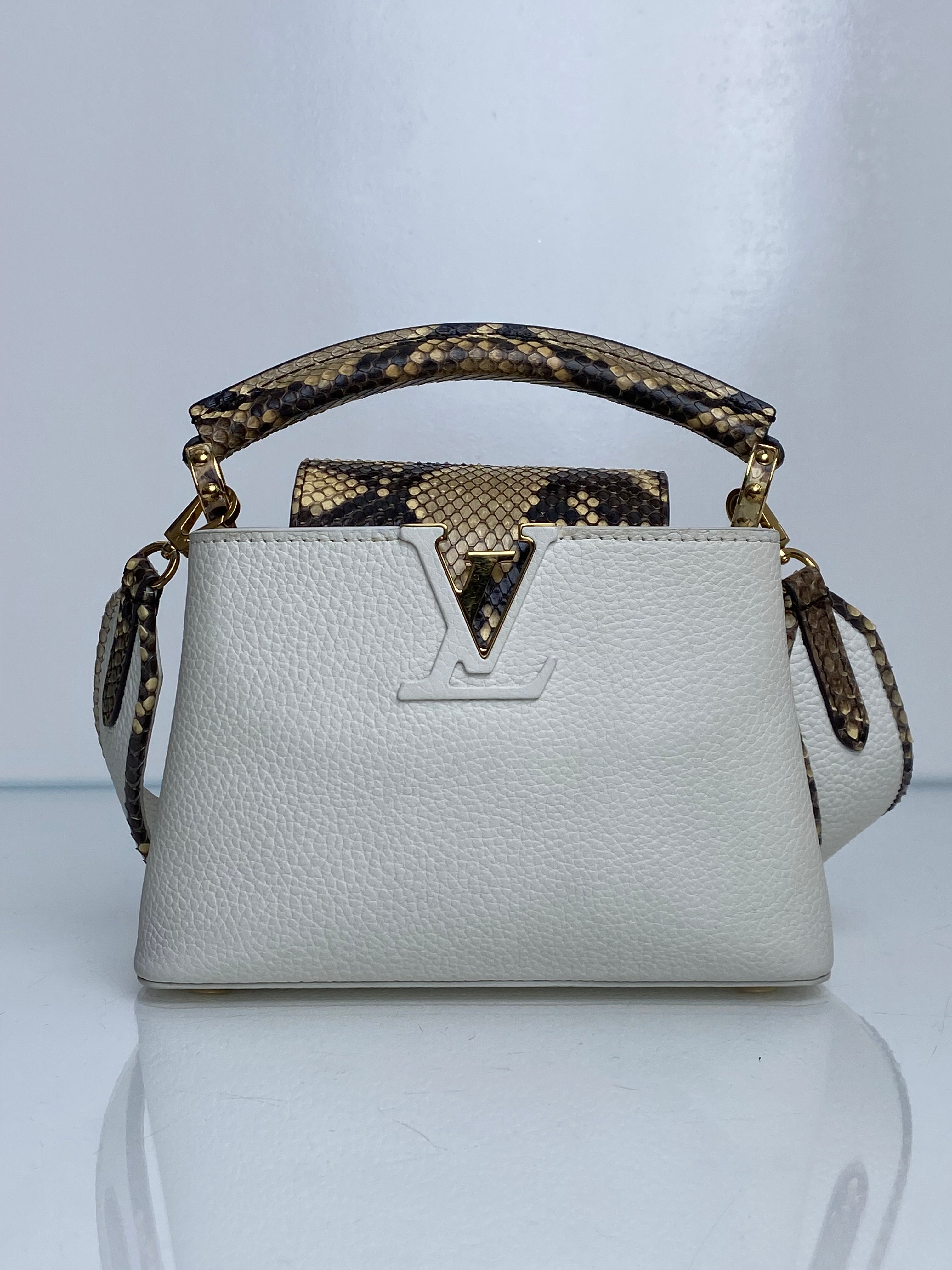 LOUIS VUITTON アンプラント　パイソン　ホワイト 8B04A20A-B6A9-41B5-B86E-