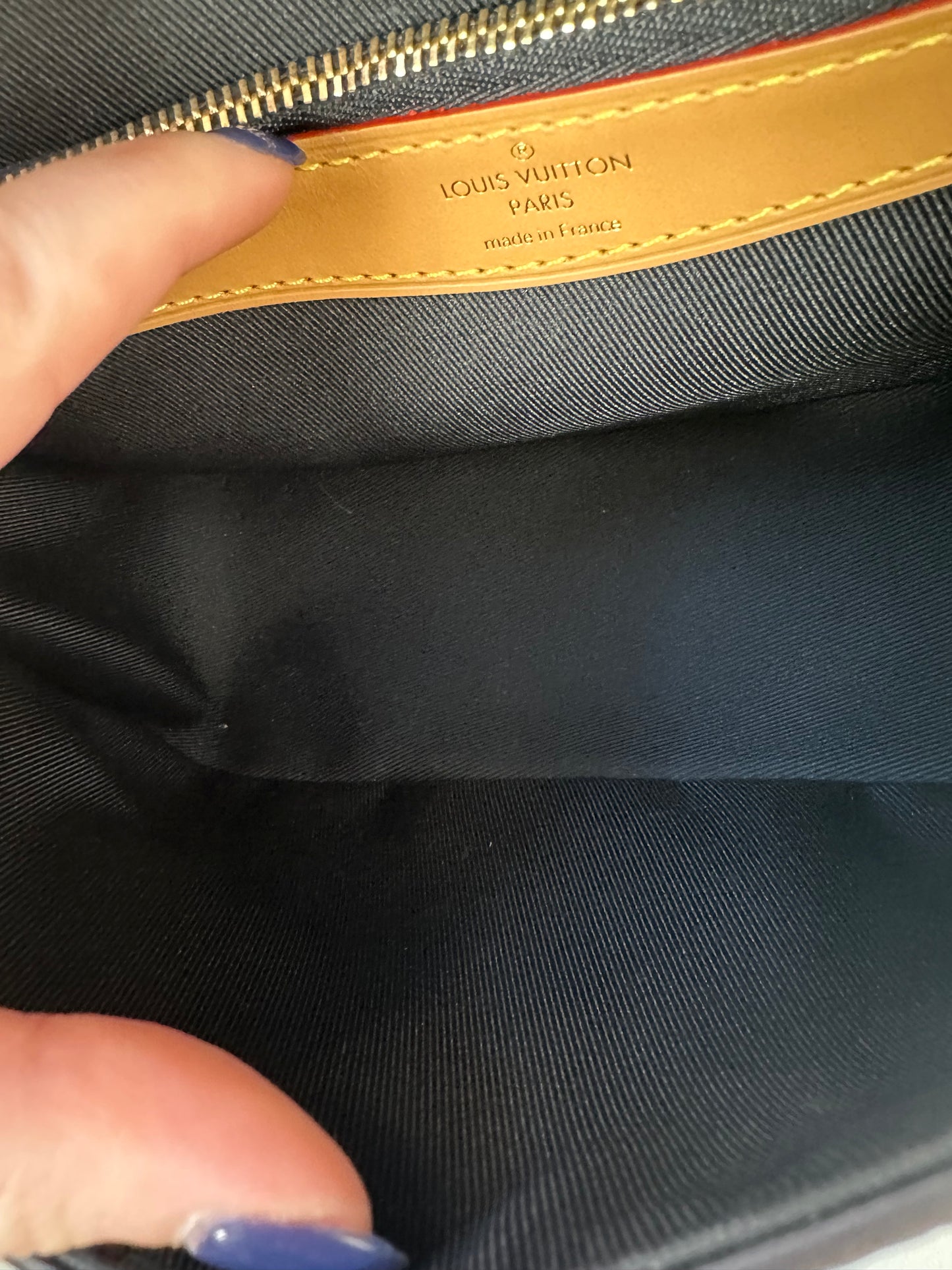 Louis Vuitton Monogram Diane Crossbody Bag