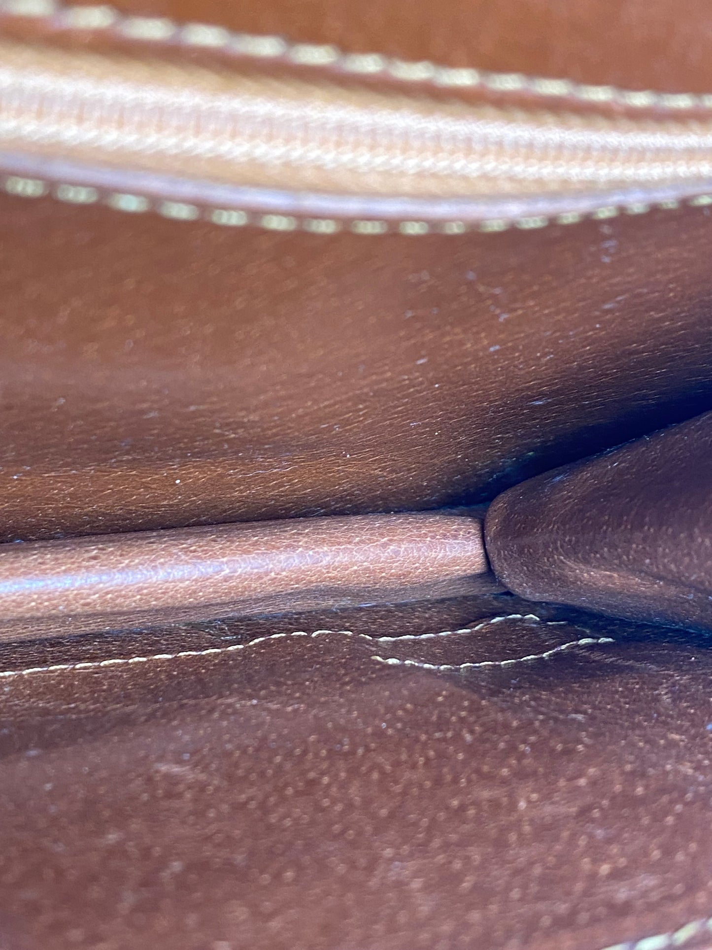 Louis Vuitton Monogram Danube PM Clutch