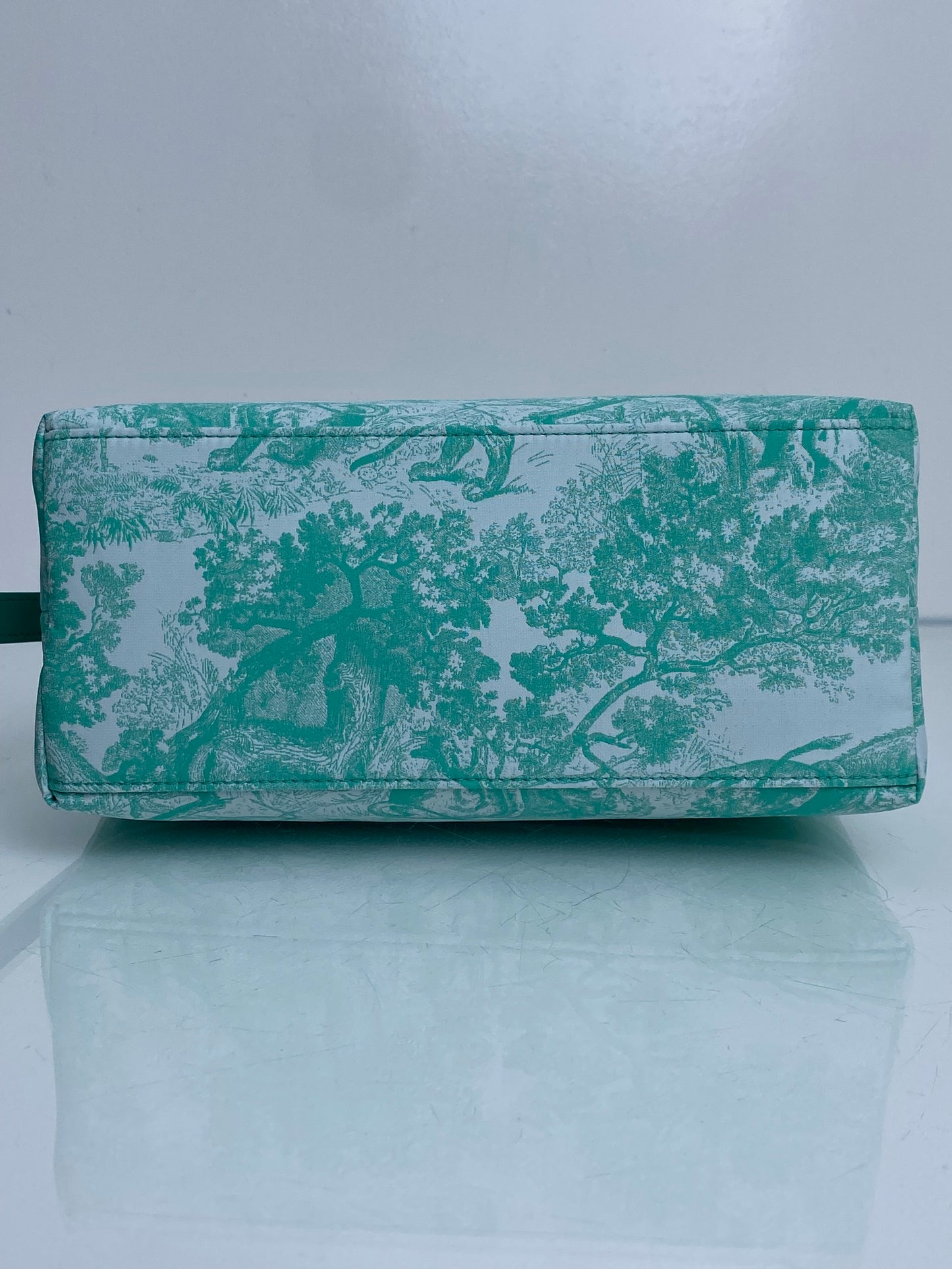 Christian Dior Teal & White Toile De Jouy Nomad Pouch GHW