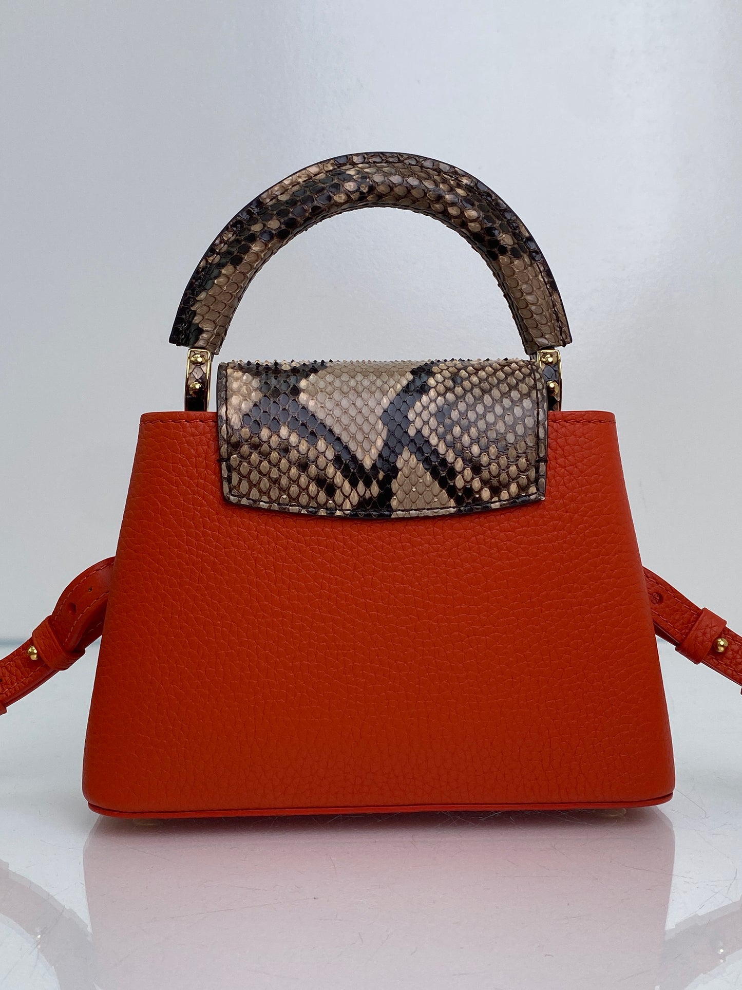 Louis Vuitton Orange Python Capucine Bag GHW