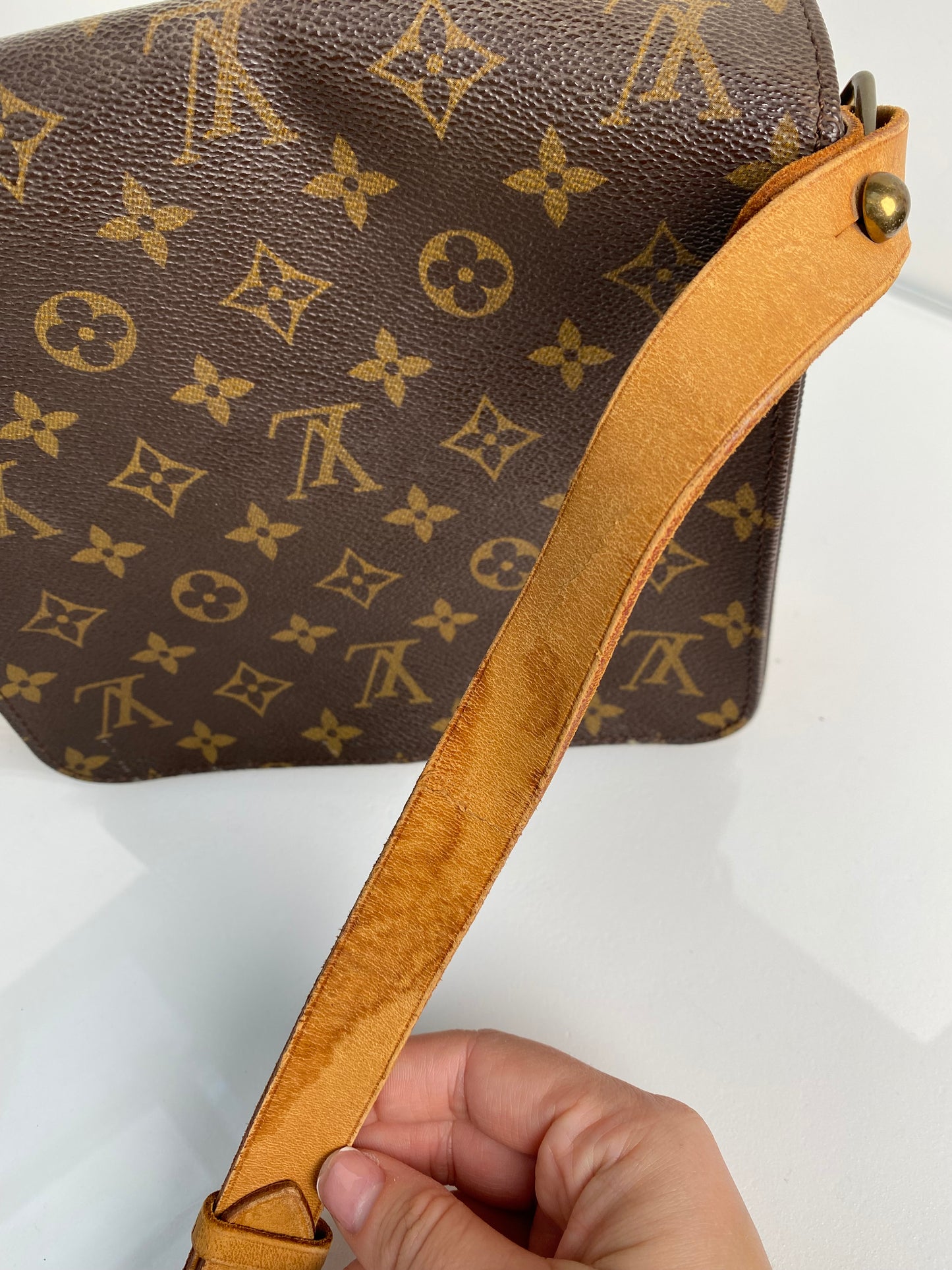 Louis Vuitton Monogram Cartoucherie Crossbody Bag