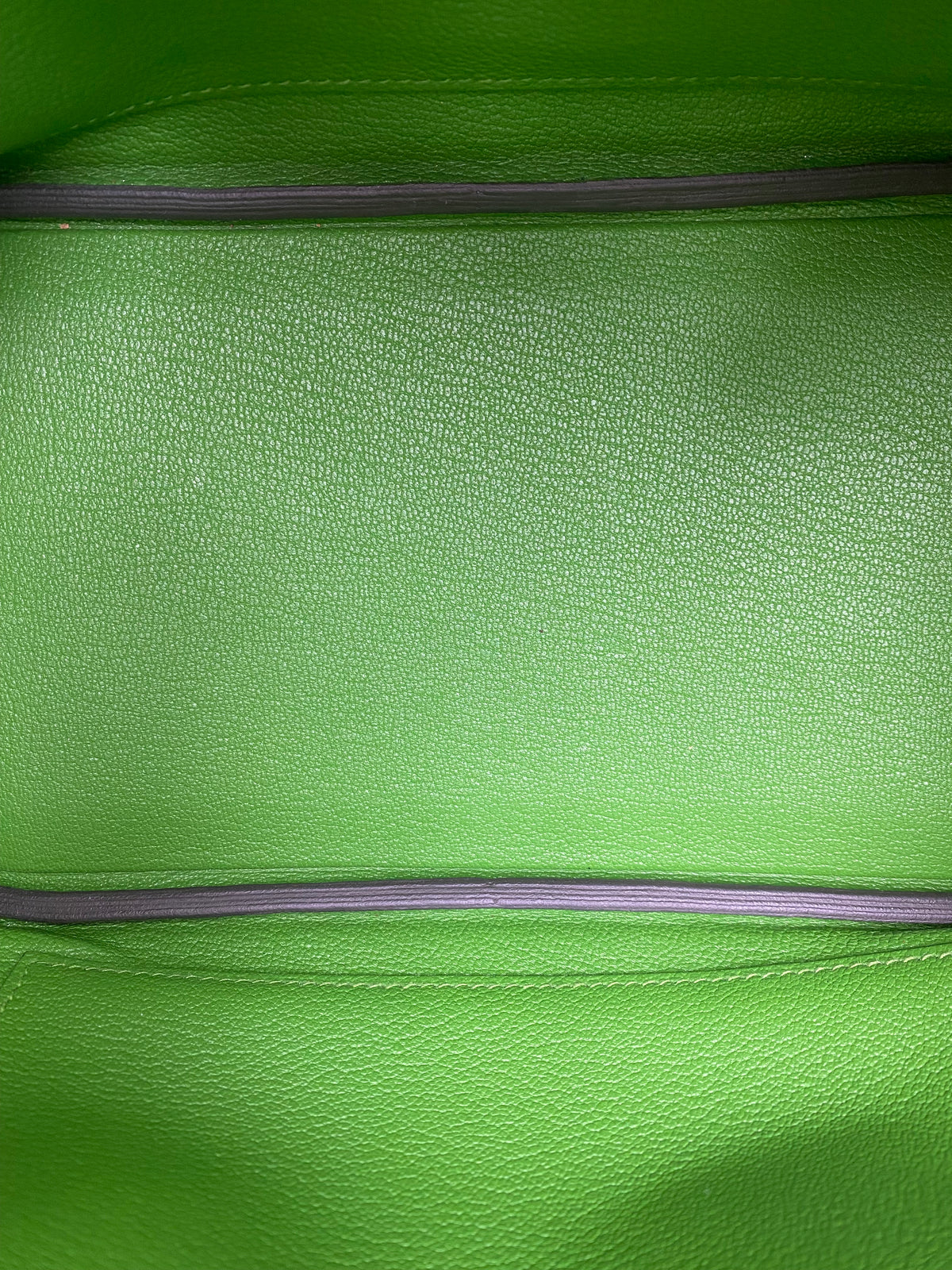 Hermes Birkin 25 Vert Yucca Togo GHW #B
