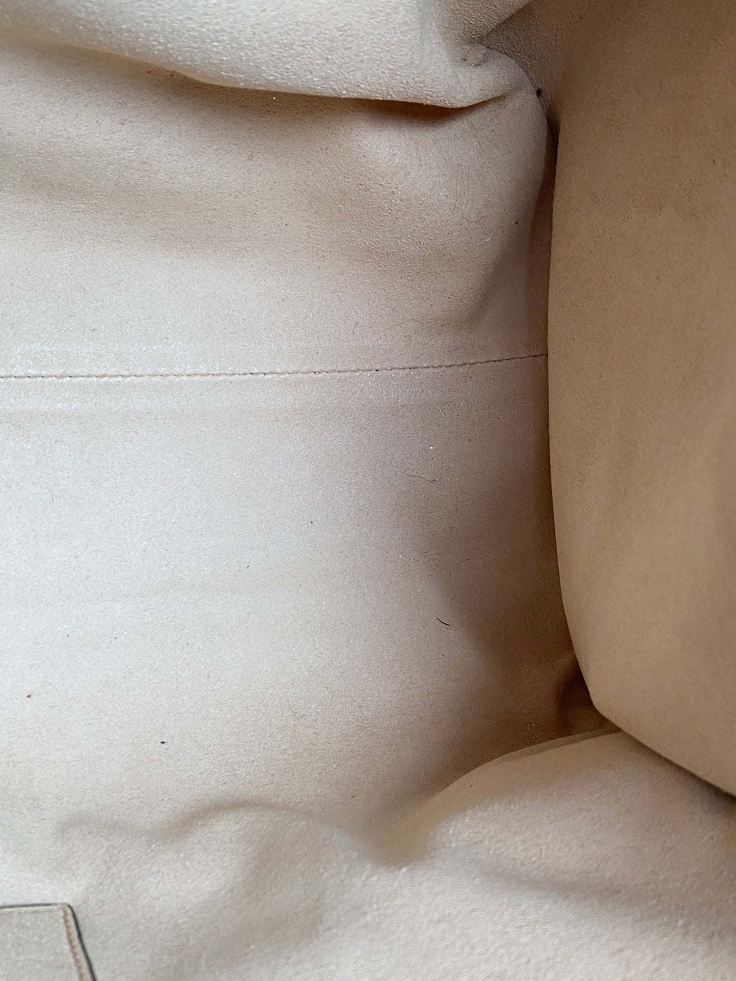 Gucci Brown Linea Totem Web Stripe Tote with Crystal Butterfly GHW