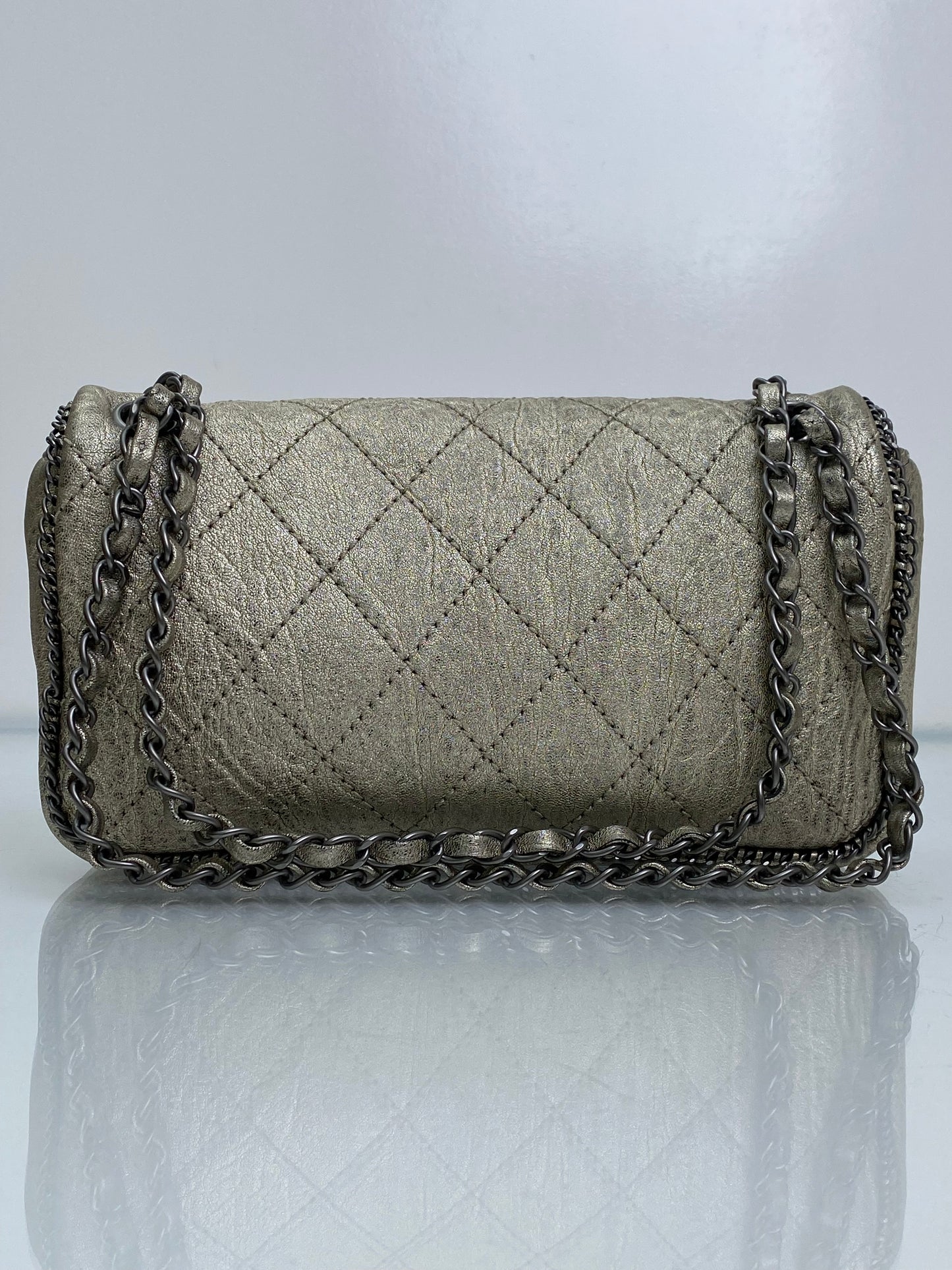 Chanel Champagne Leo Lion Flap Bag SHW #11
