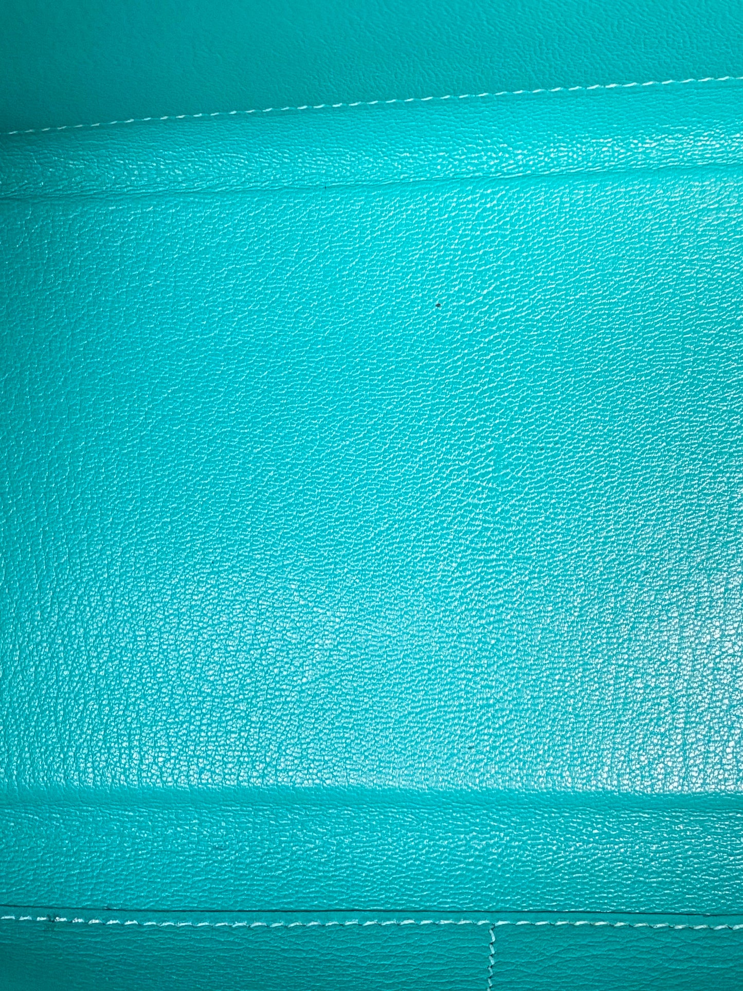 Hermes Kelly 28 Lagoon Chèvre PHW #L