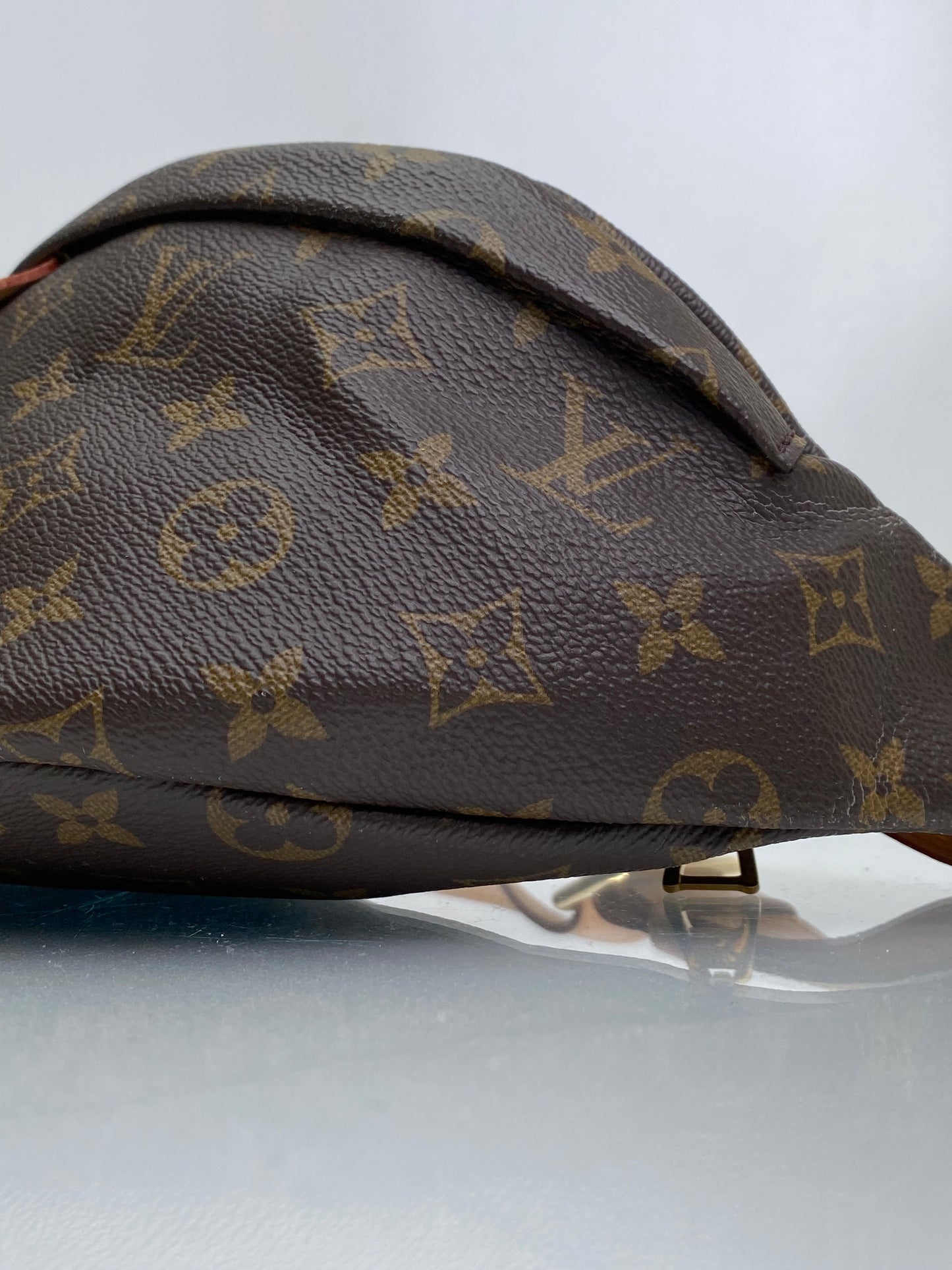 Louis Vuitton Monogram Bum Bag GHW