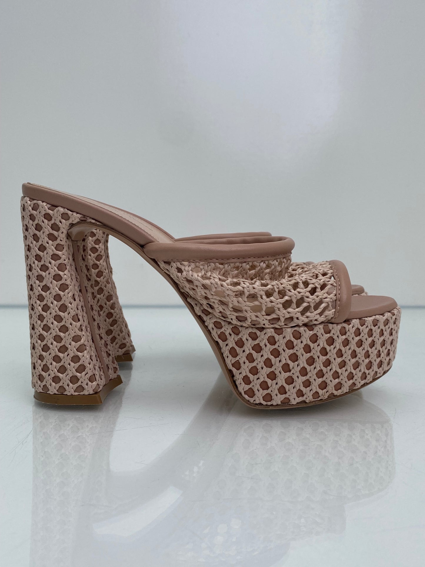 Gianvitto Rossi Mesh/Leather Nude Heels, 37.5