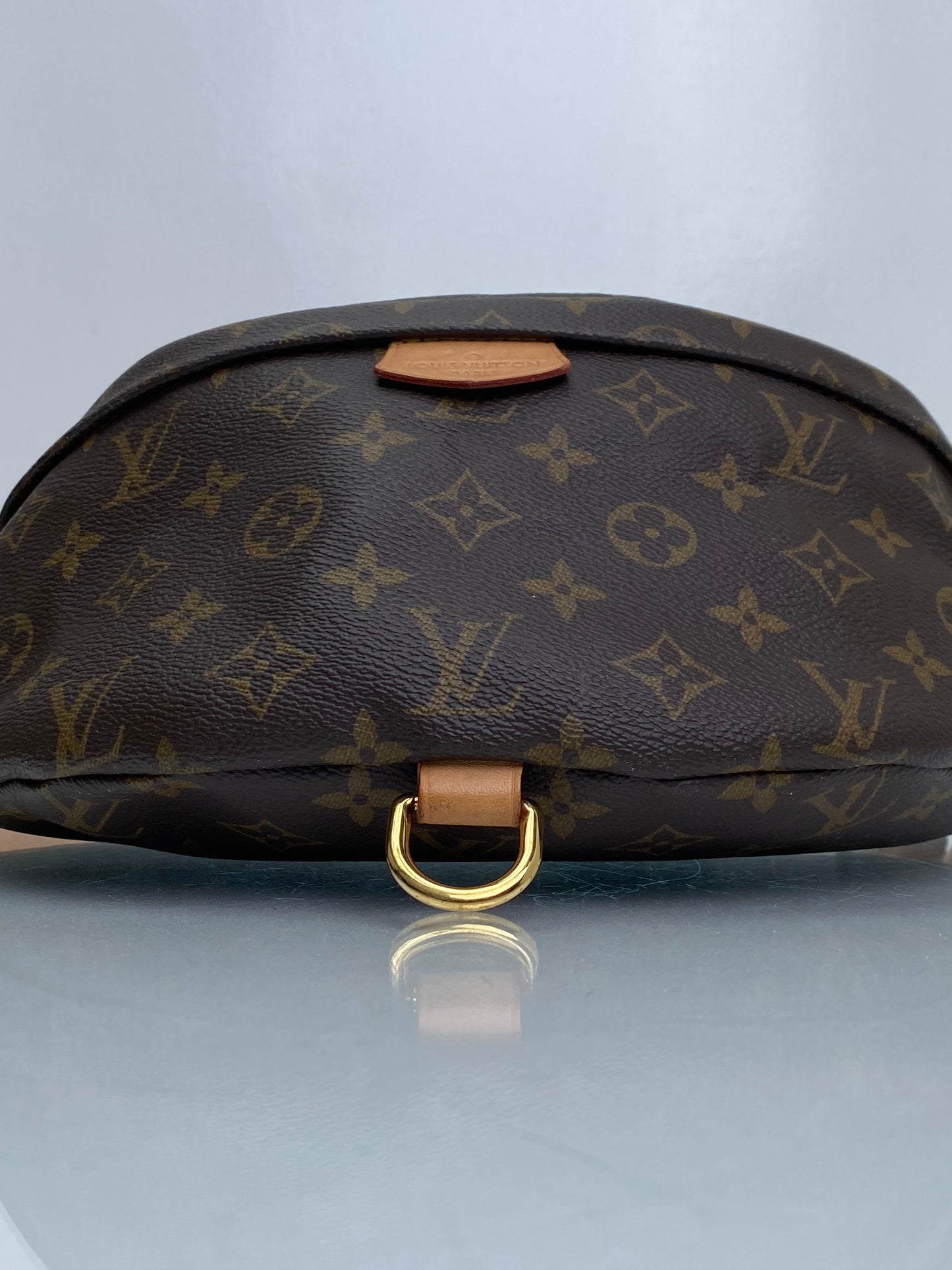 Louis Vuitton Monogram Bum Bag GHW