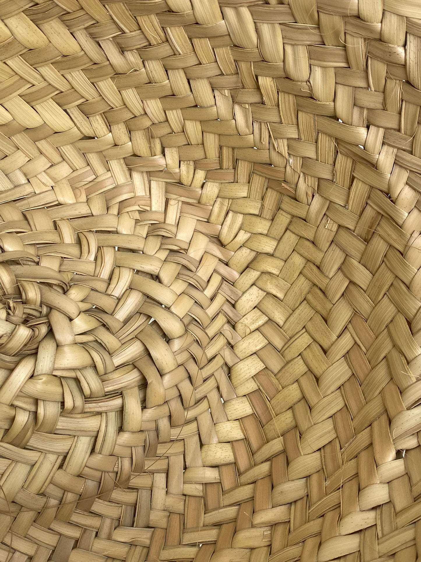Celine Green Triomphe Straw Bag