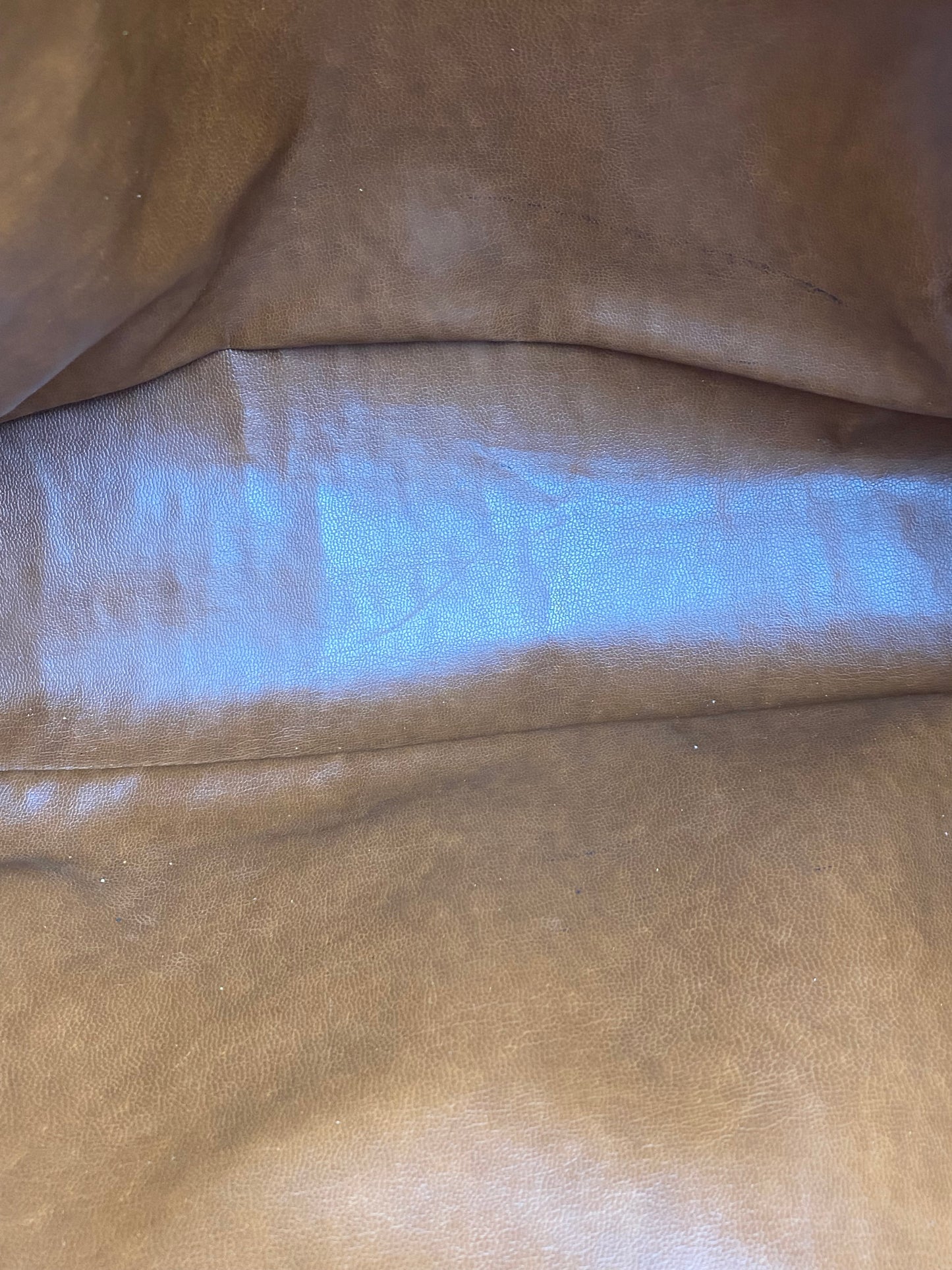Chanel Vintage Tote Beige Tortoise/GHW