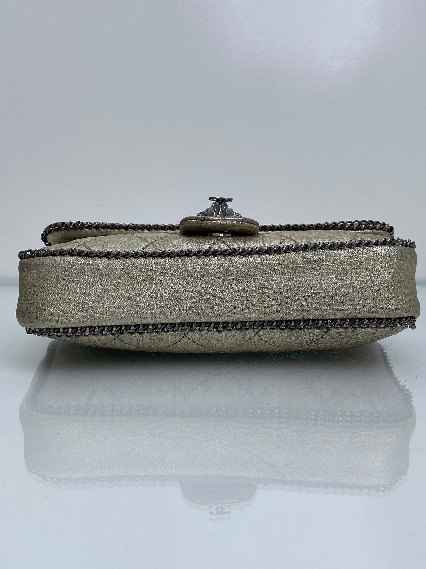 Chanel Champagne Leo Lion Flap Bag SHW #11