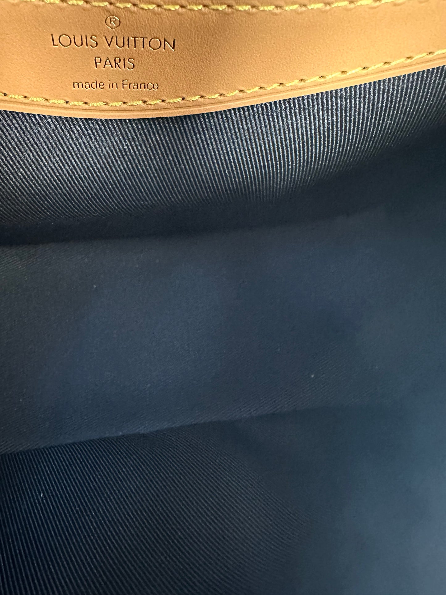 Louis Vuitton Monogram Diane Crossbody Bag