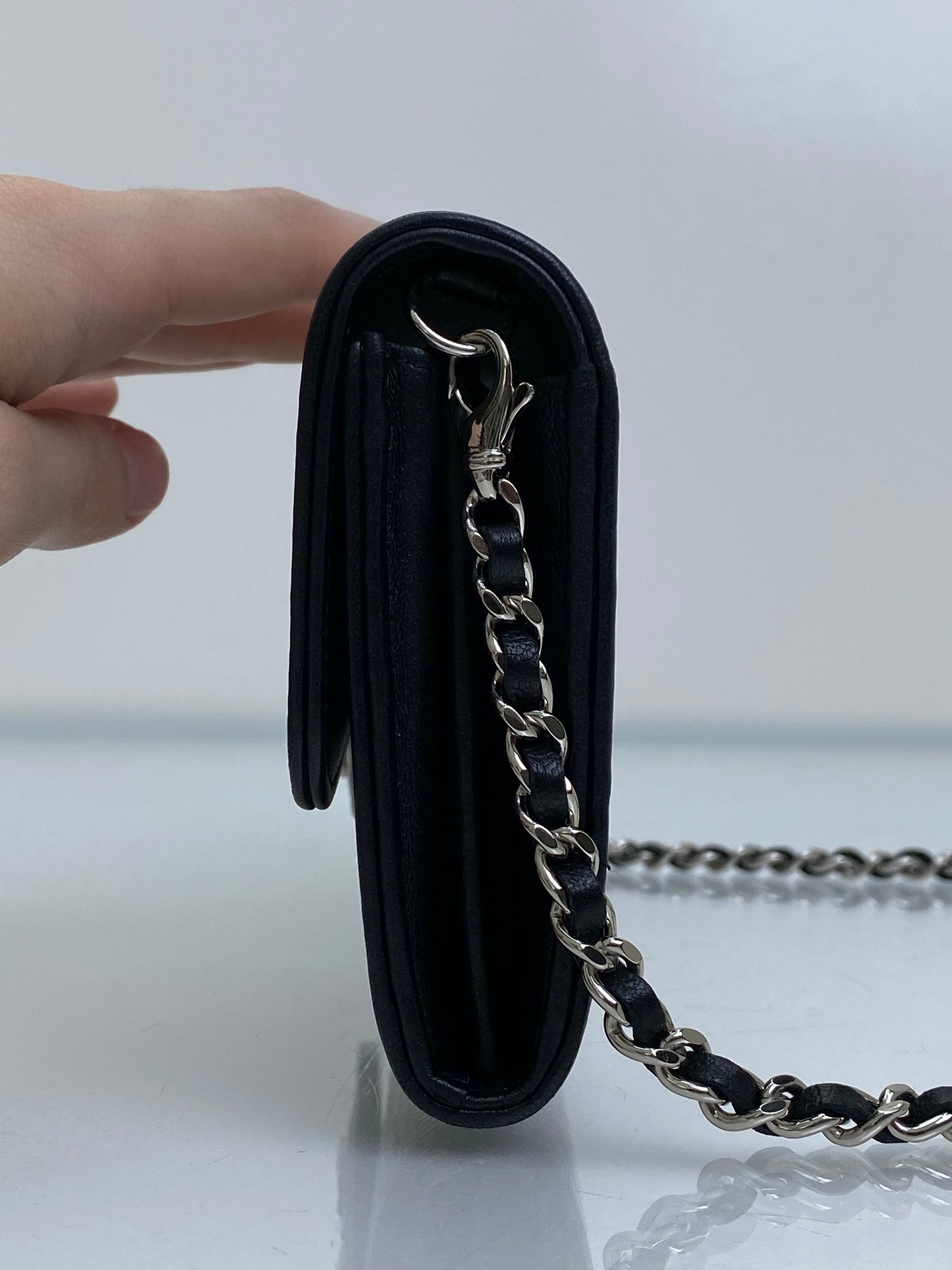 Chanel Iridescent Ombre Lizard Wallet On Chain SHW #22
