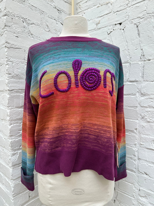 Alivia Marybeth Sweater "Colors" Embroidery M