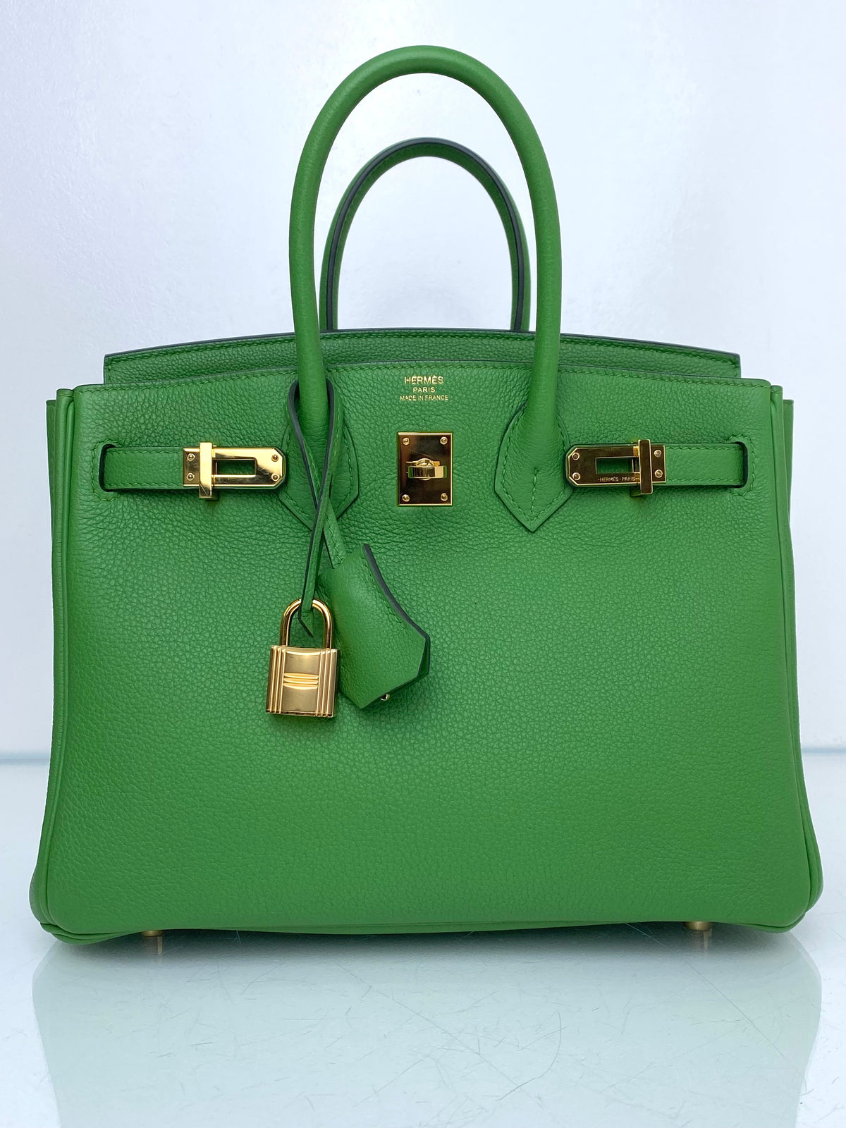 Hermes Birkin 25 Vert Yucca Togo GHW #B