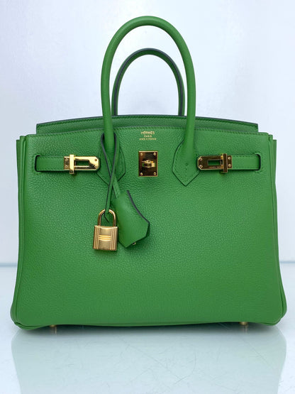 Hermes Birkin 25 Vert Yucca Togo GHW #B