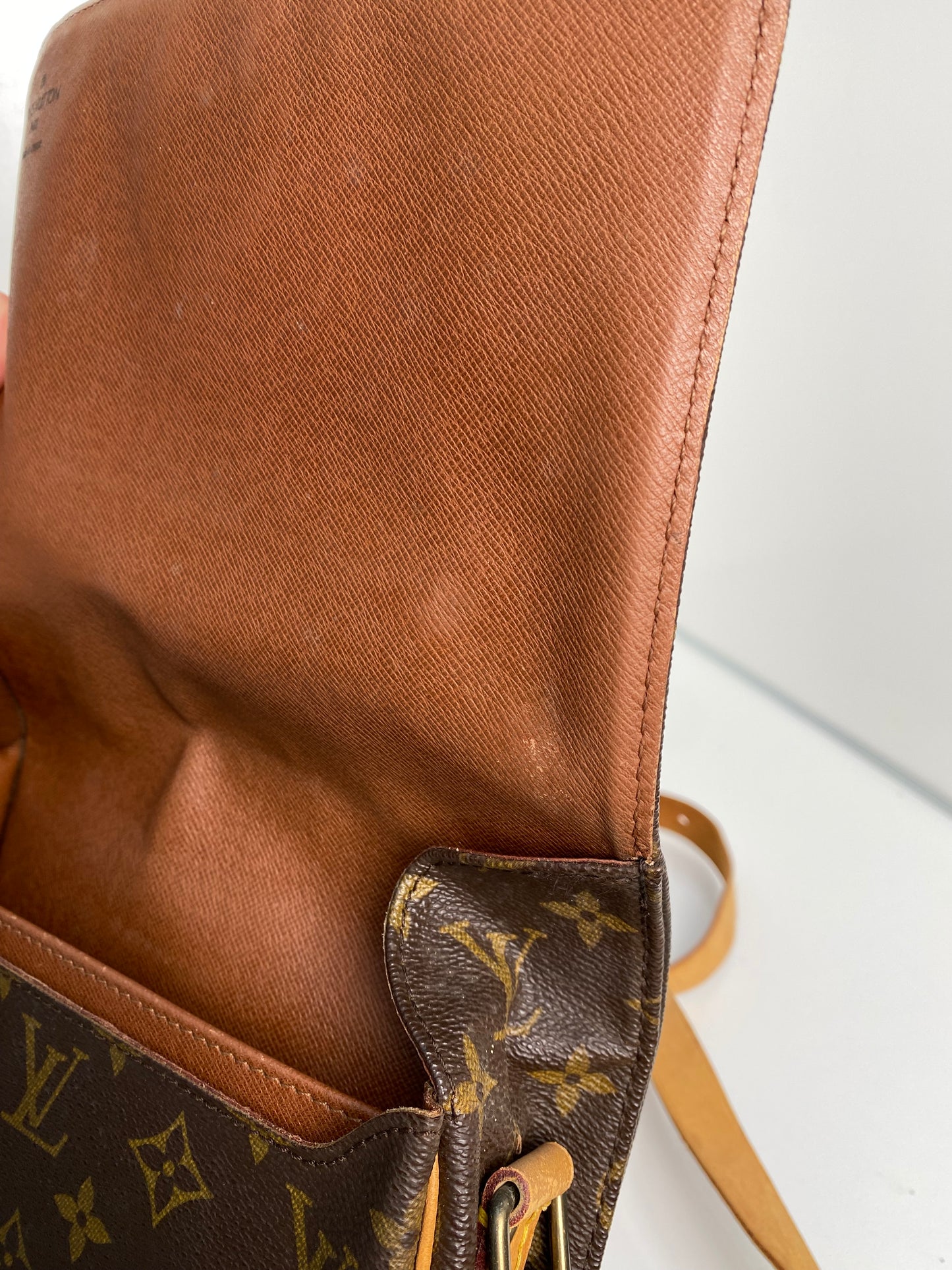 Louis Vuitton Monogram Cartoucherie Crossbody Bag