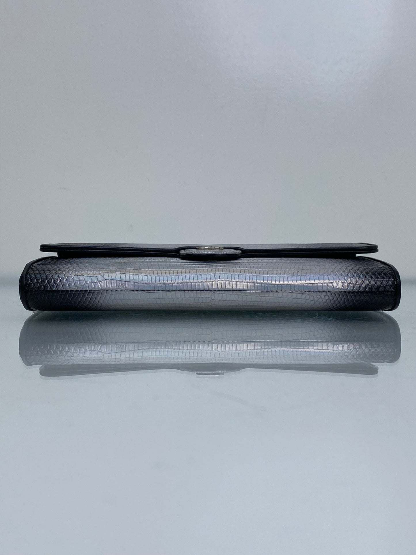 Chanel Iridescent Ombre Lizard Wallet On Chain SHW #22