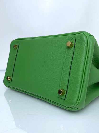 Hermes Birkin 25 Vert Yucca Togo GHW #B