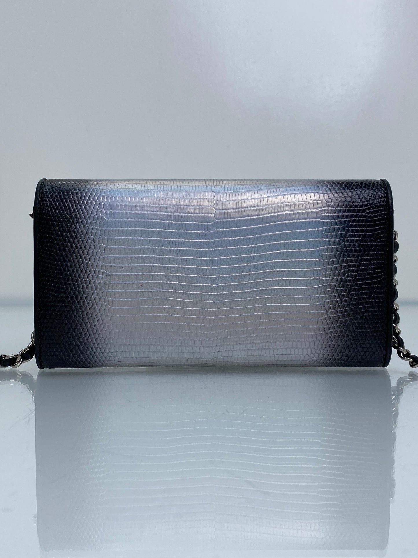Chanel Iridescent Ombre Lizard Wallet On Chain SHW #22